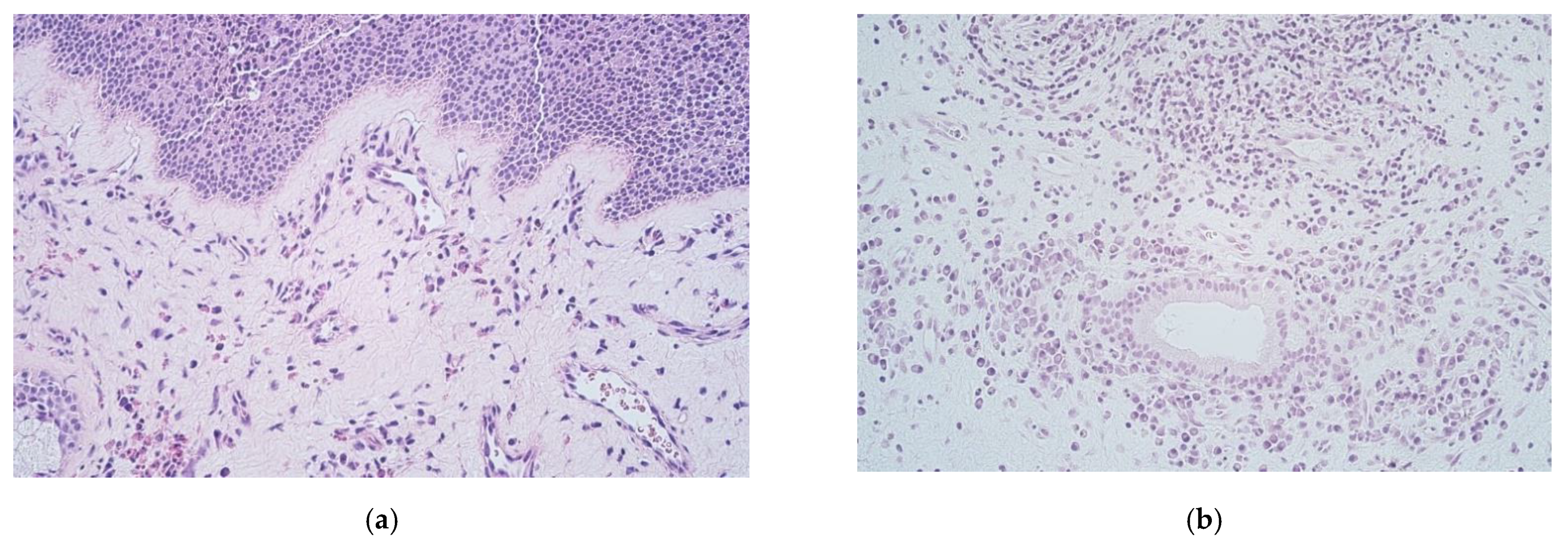 Medicina 57 00607 g001a