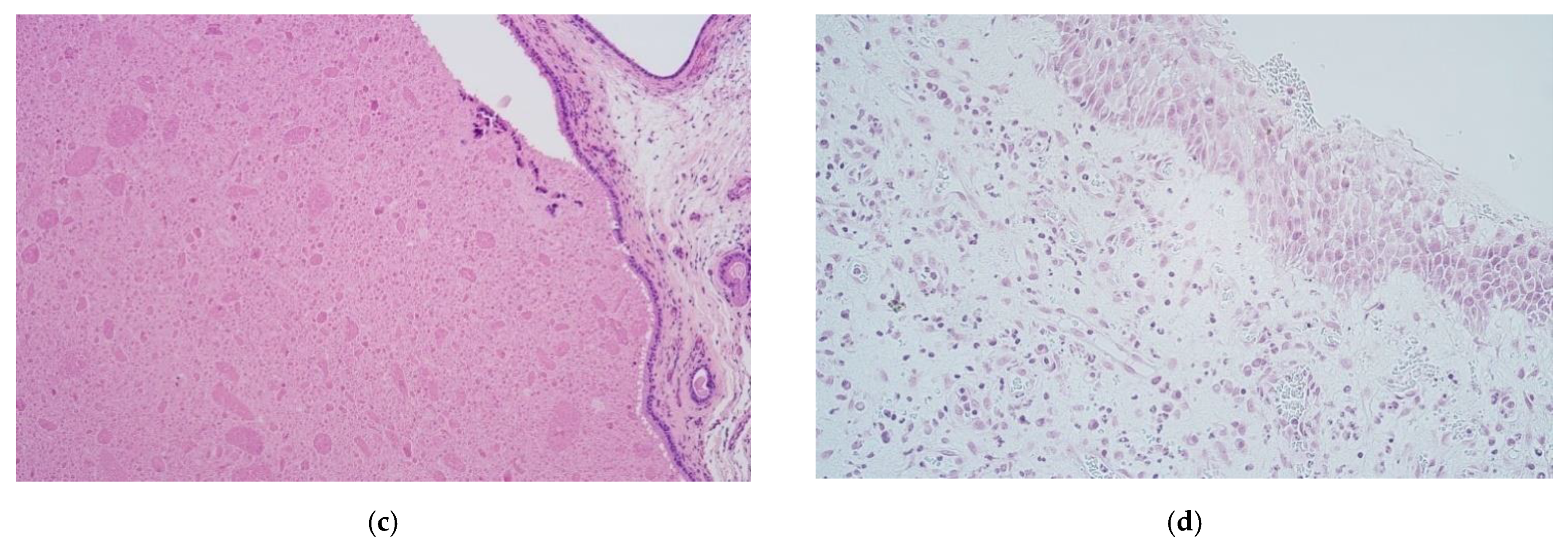 Medicina 57 00607 g001b