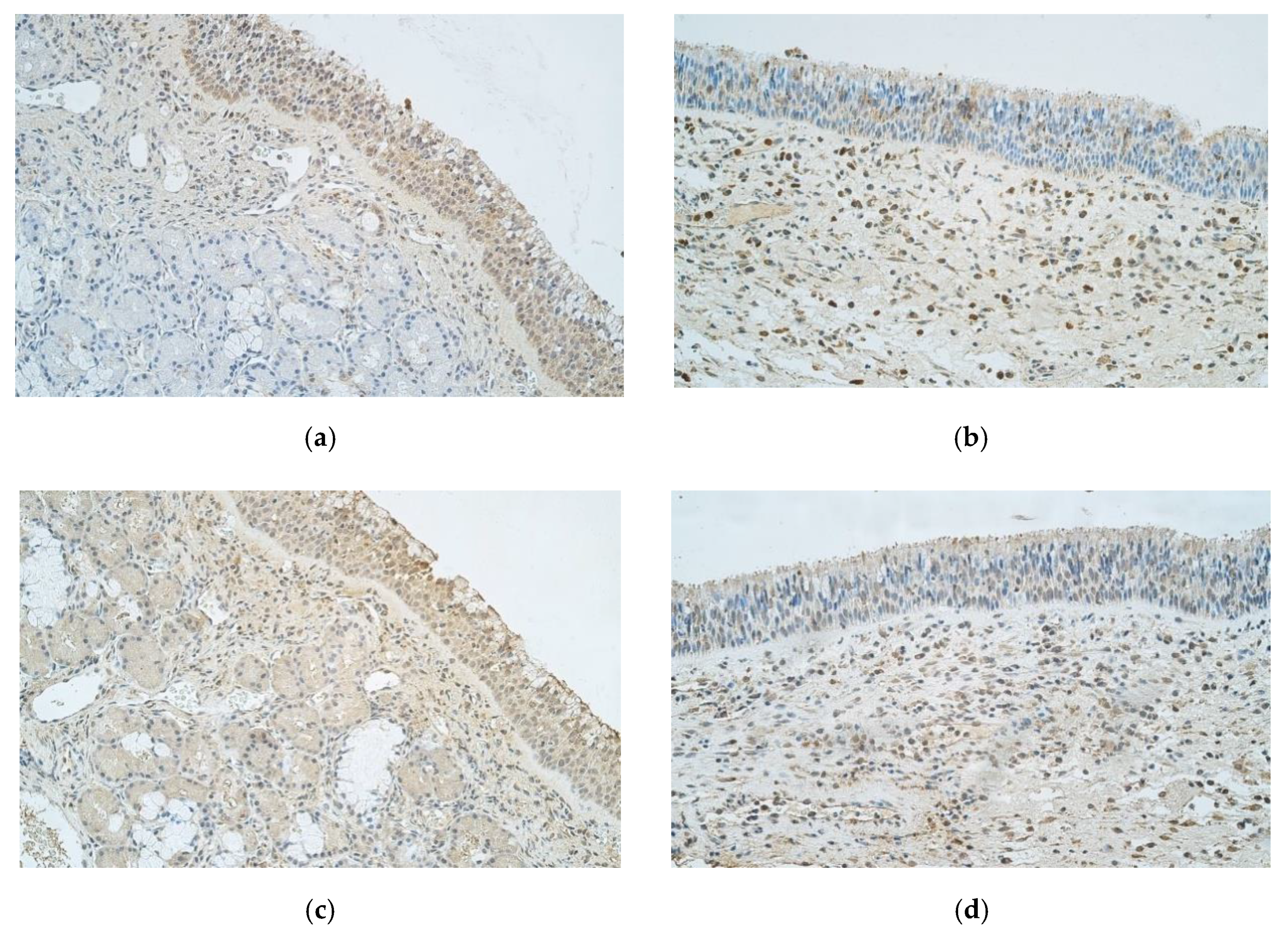 Medicina 57 00607 g002