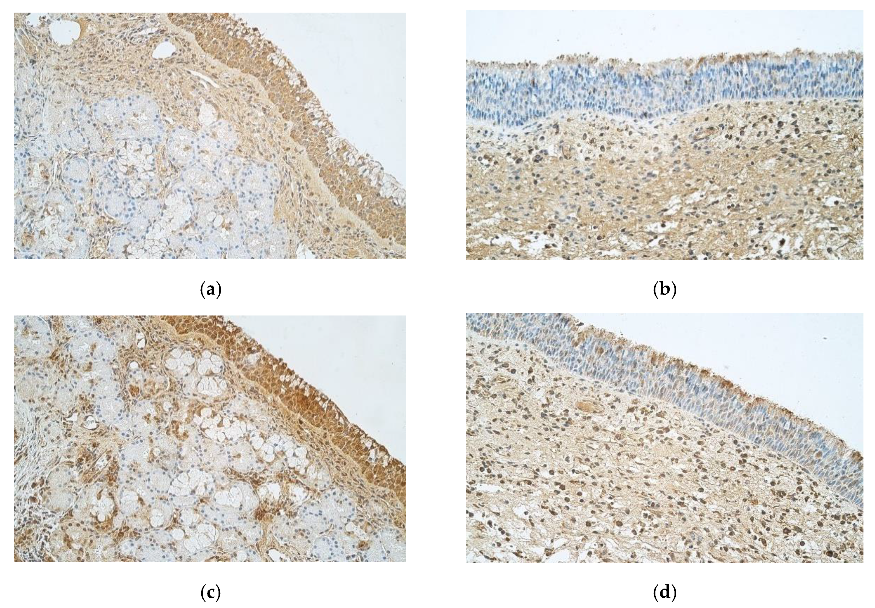 Medicina 57 00607 g004