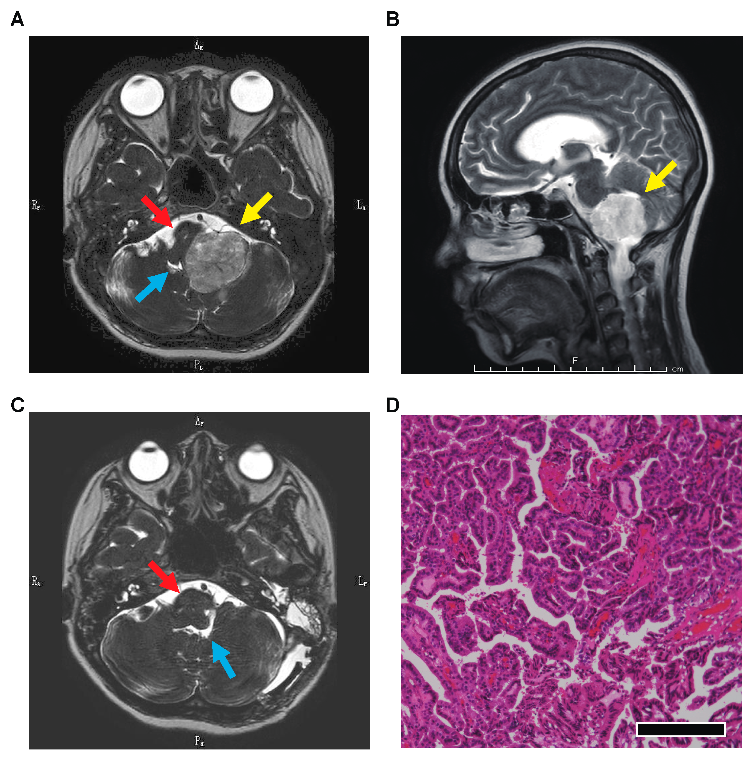 Medicina 57 00613 g001