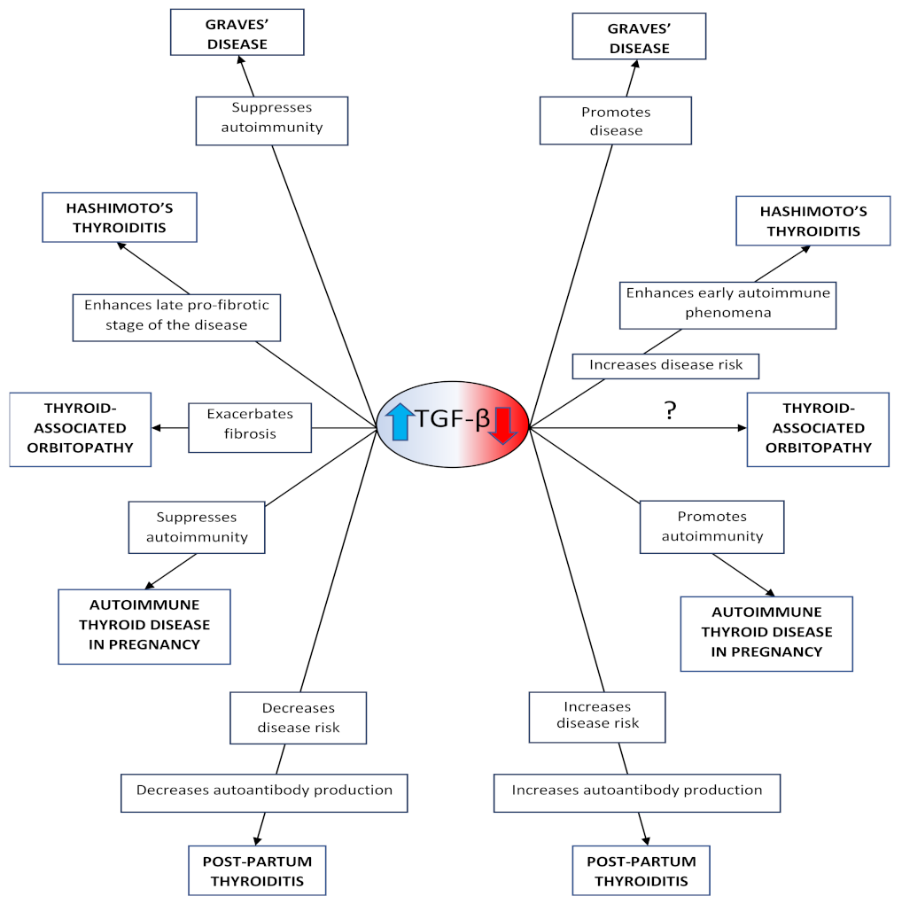Medicina 57 00621 g001 Medicina 57 00621 g001