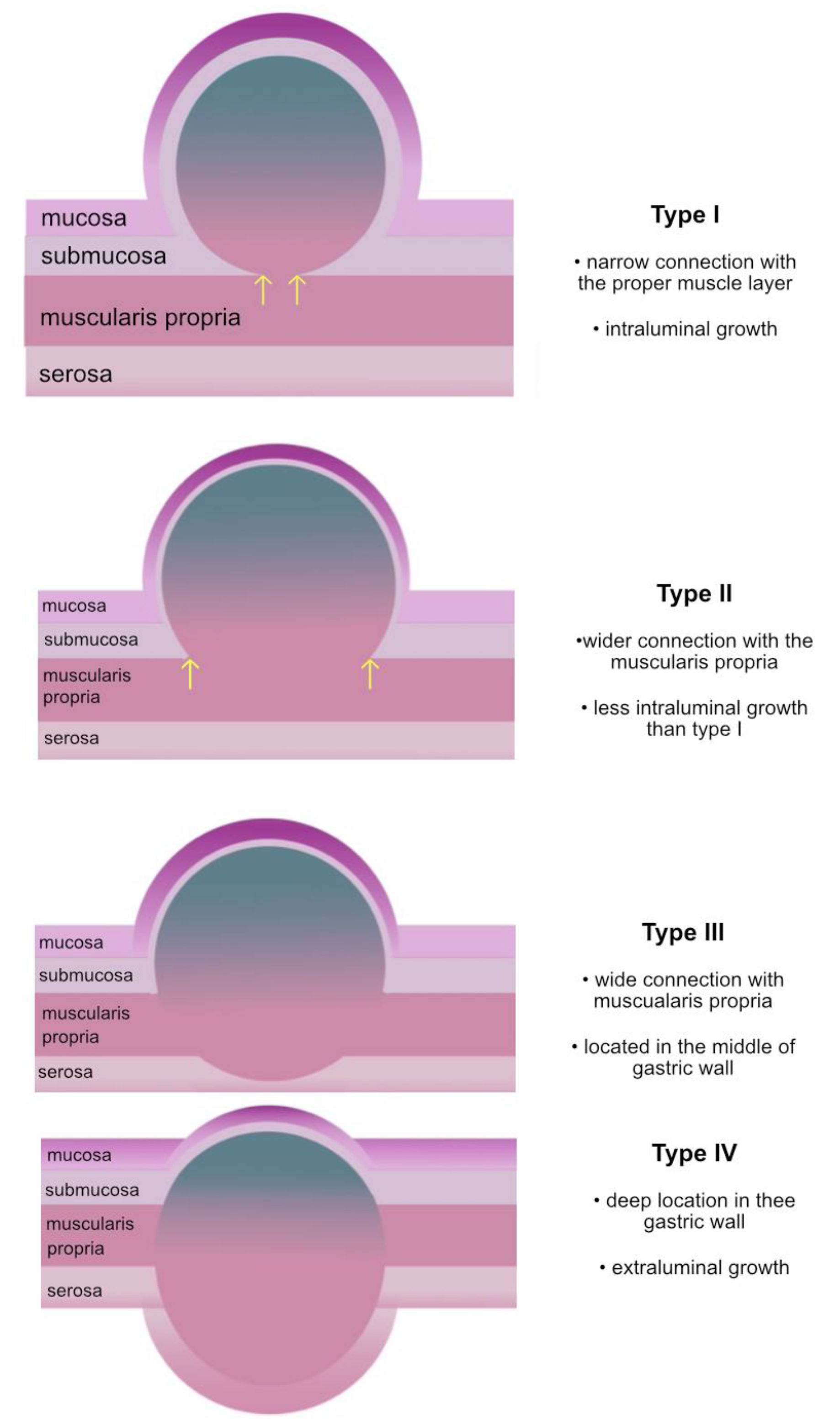 Medicina 57 00625 g001
