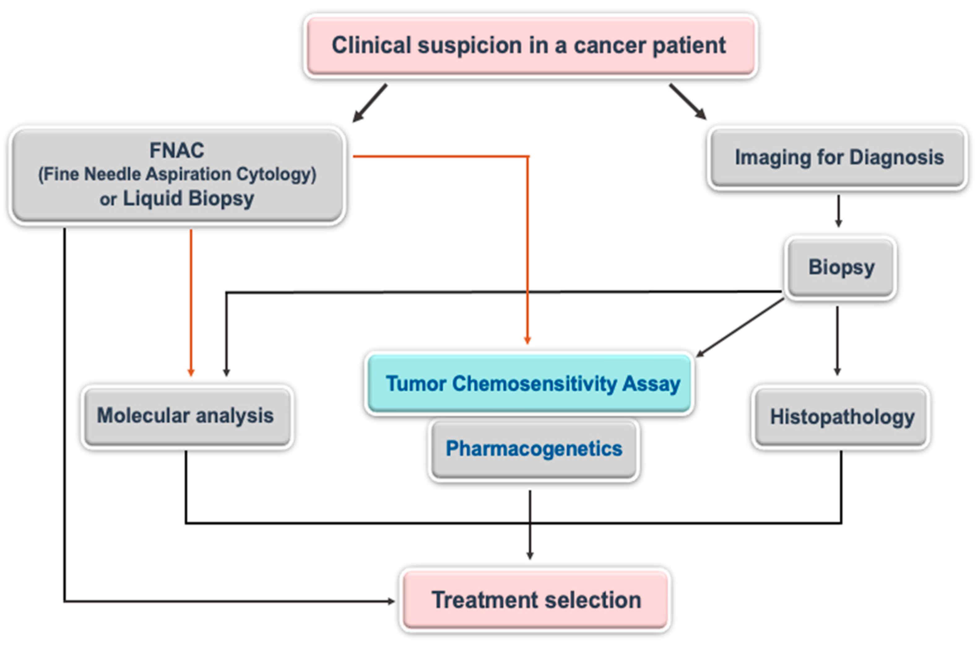 Medicina 57 00636 g001