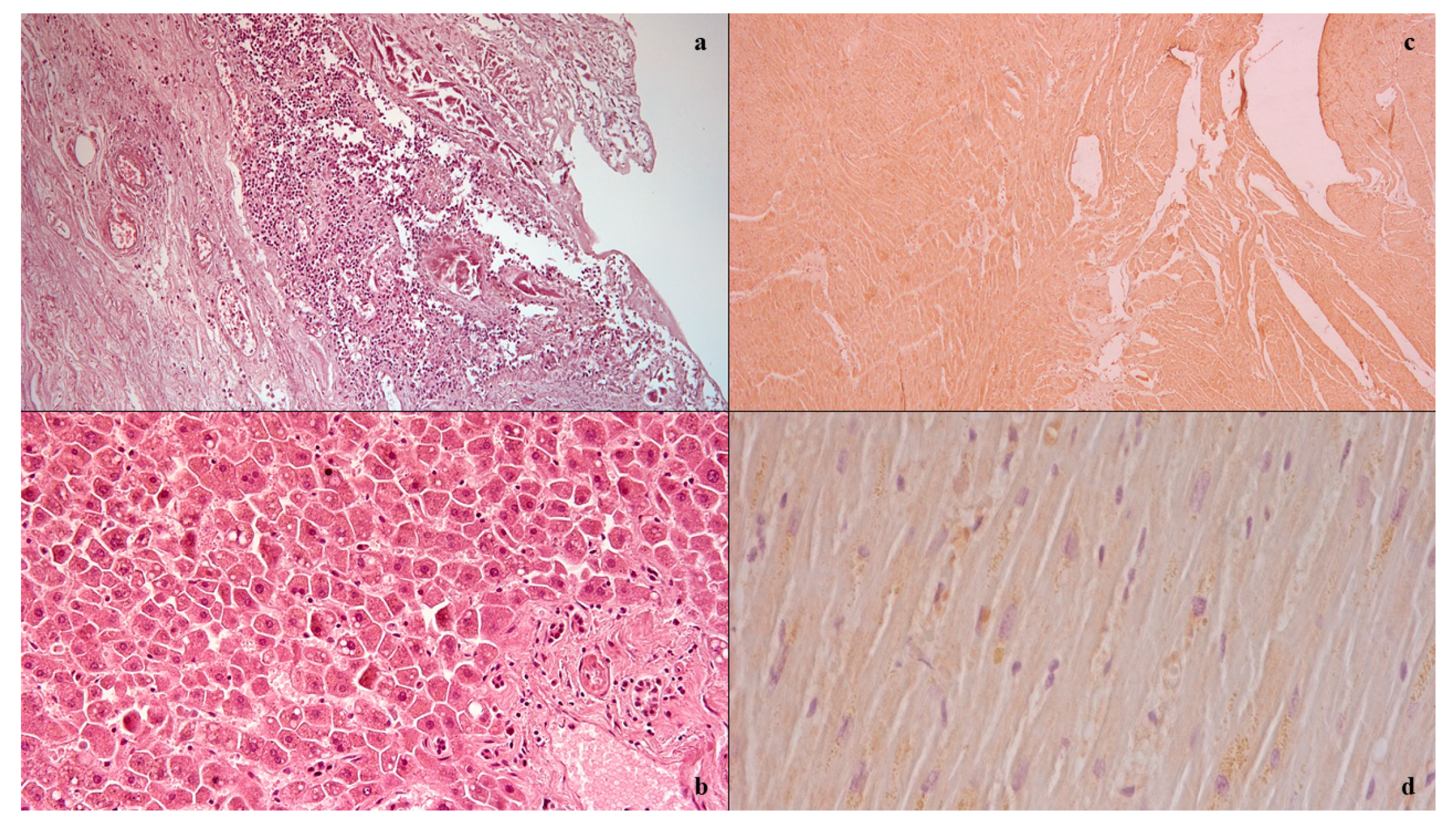 Medicina 57 00638 g001