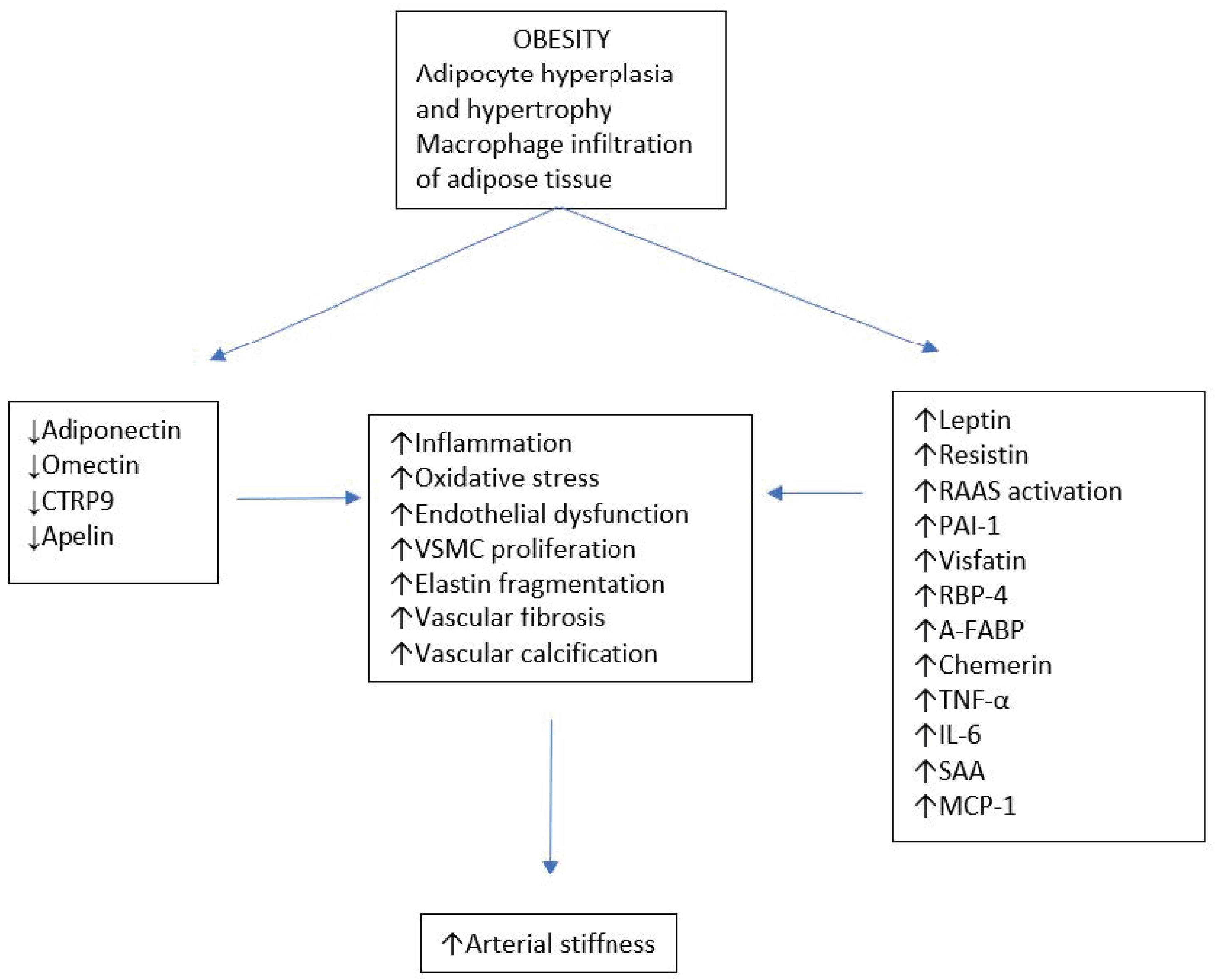 Medicina 57 00653 g001 Medicina 57 00653 g001