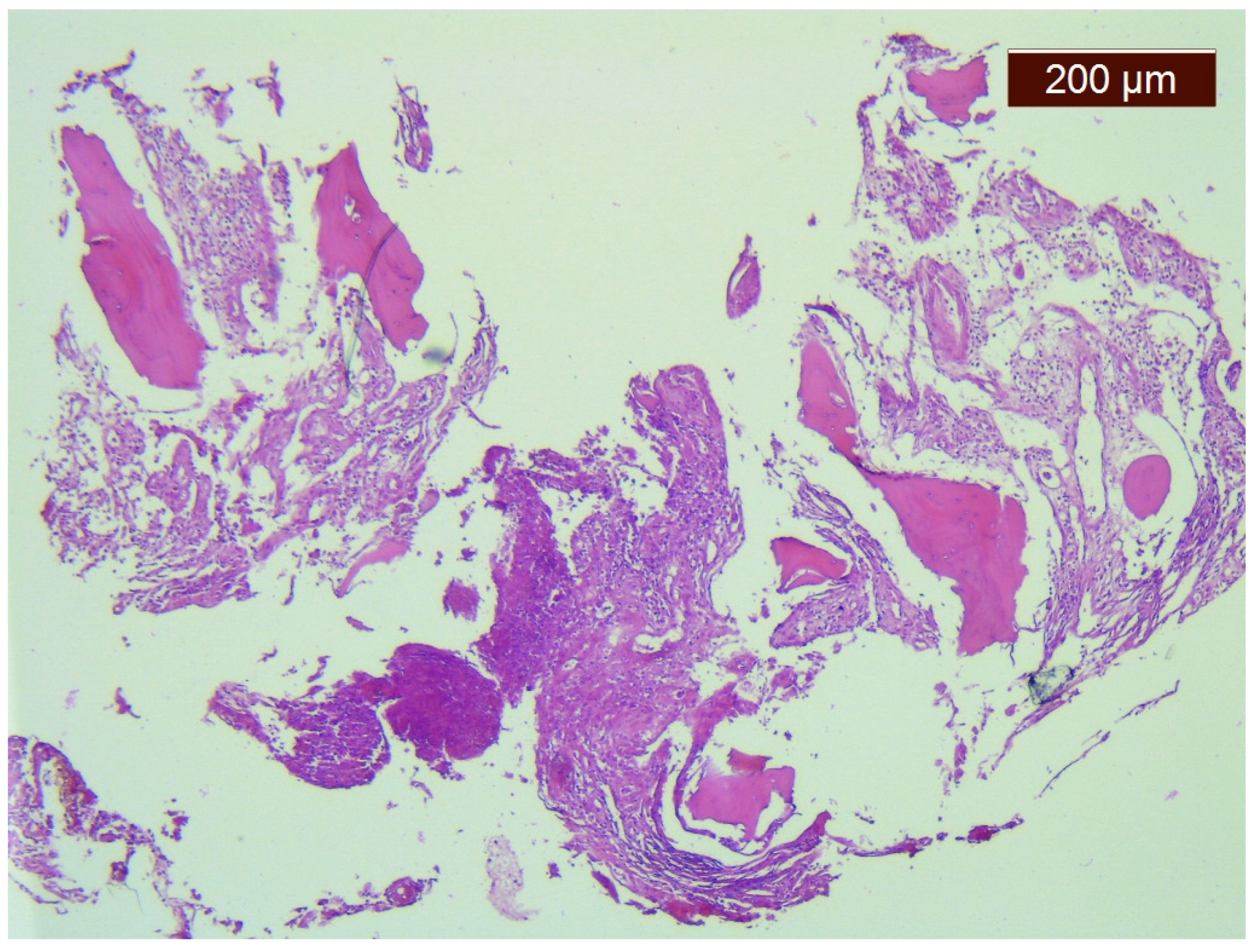 Medicina 57 00681 g002