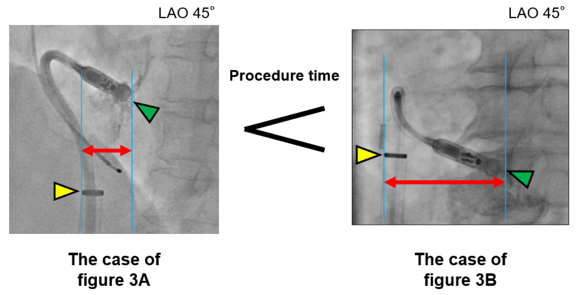 Medicina 57 00685 g004