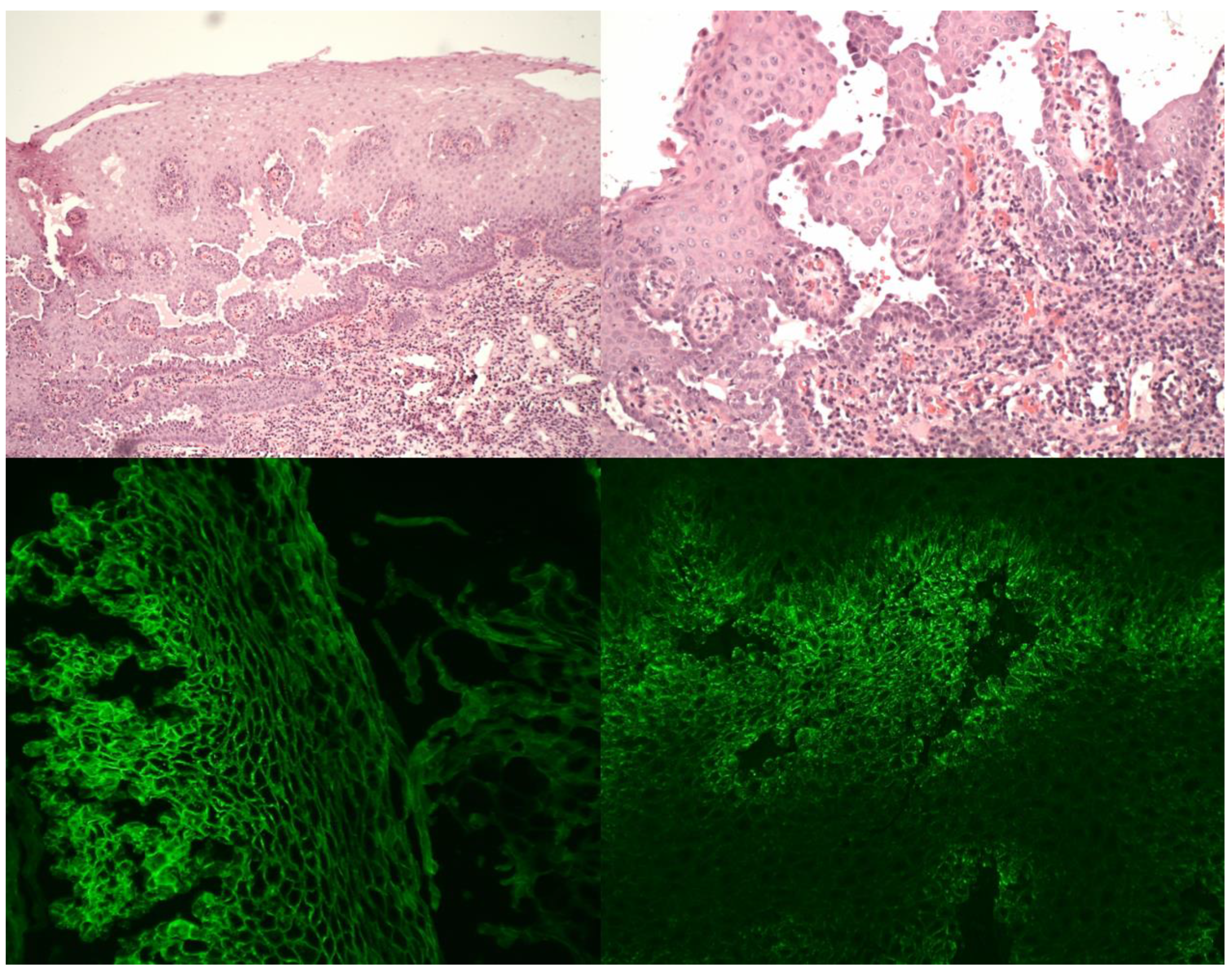Medicina 57 00686 g001