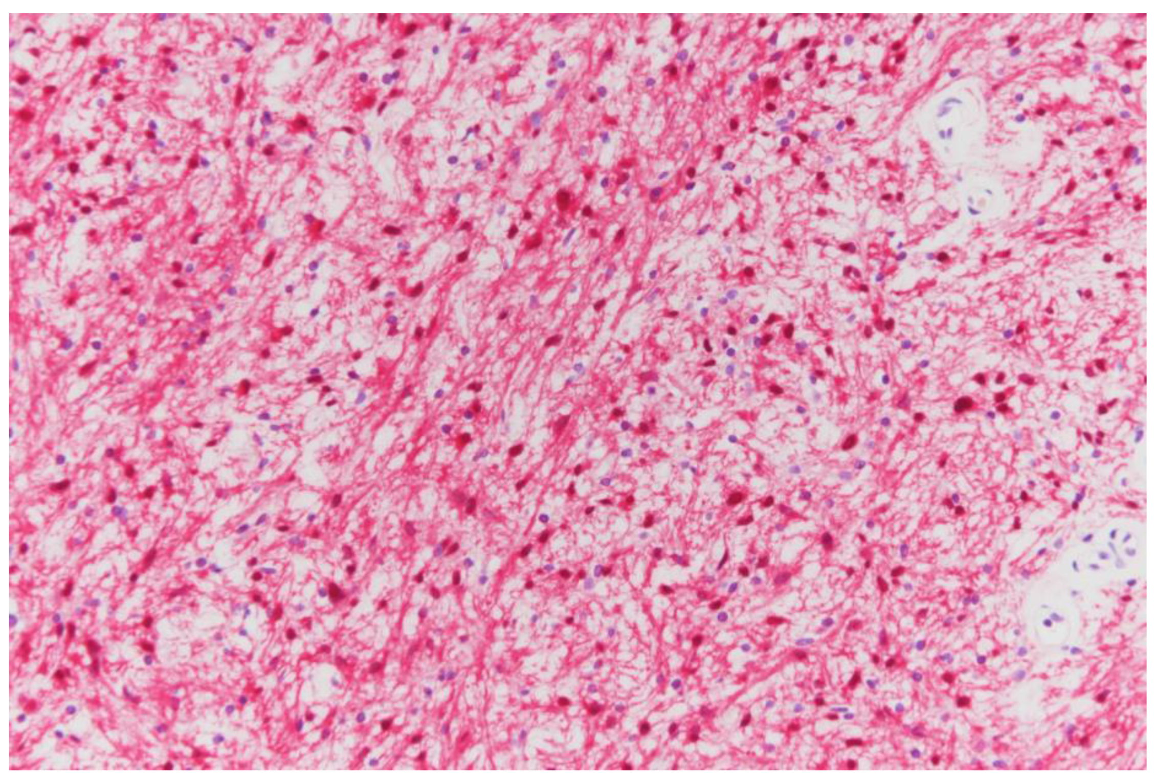 Medicina 57 00728 g003