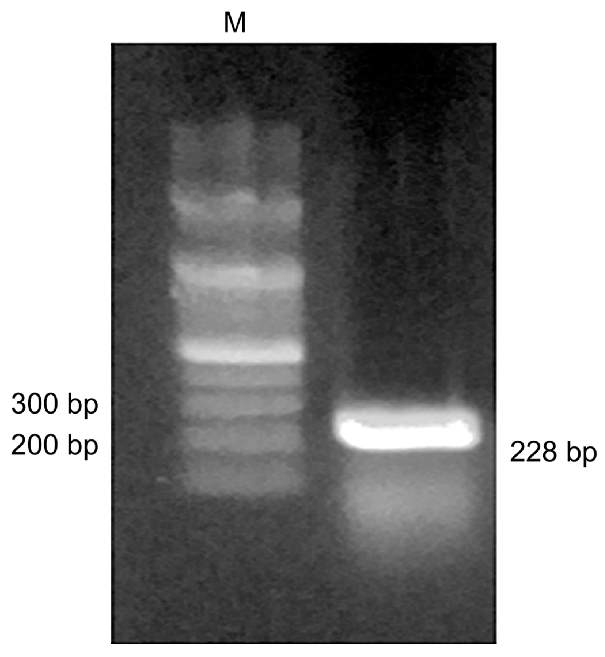 Medicina 57 00751 g002