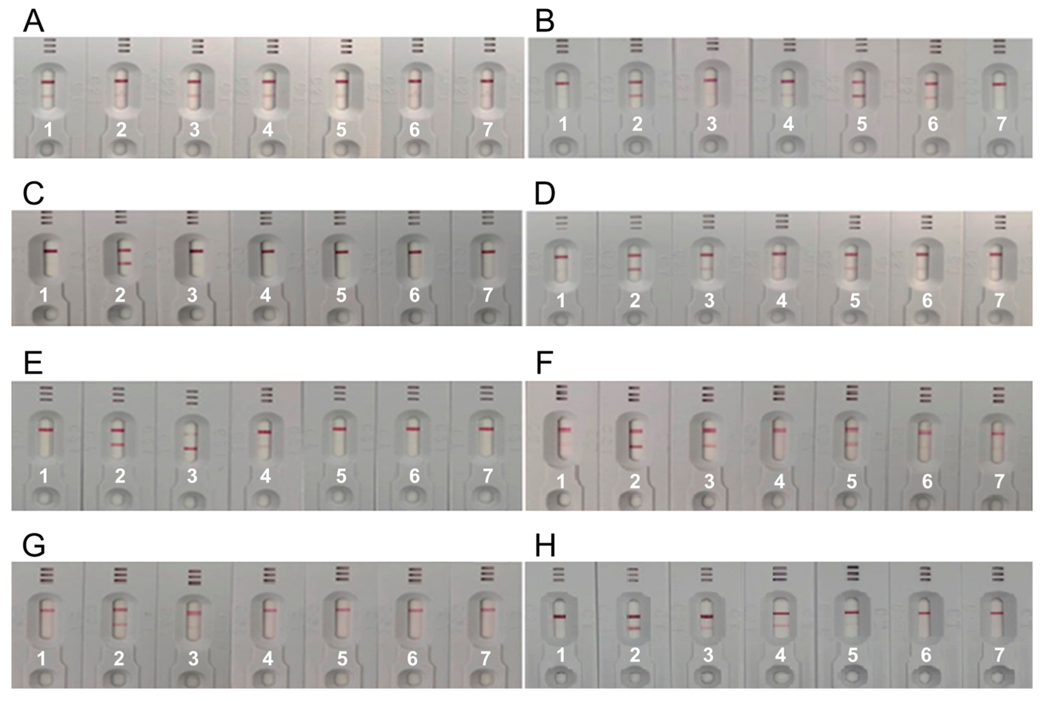 Medicina 57 00751 g005