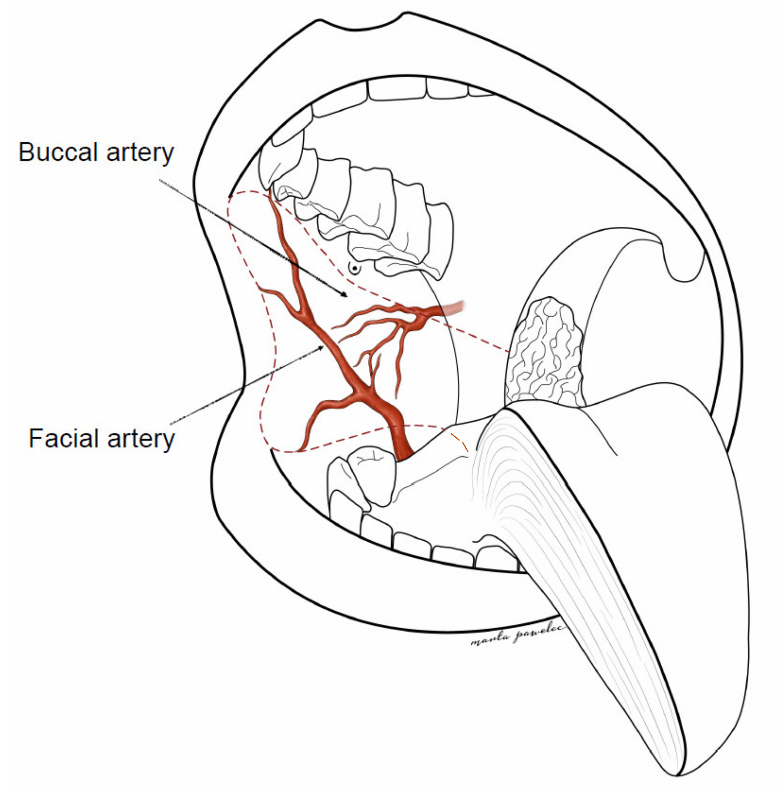 Medicina 57 00758 g001