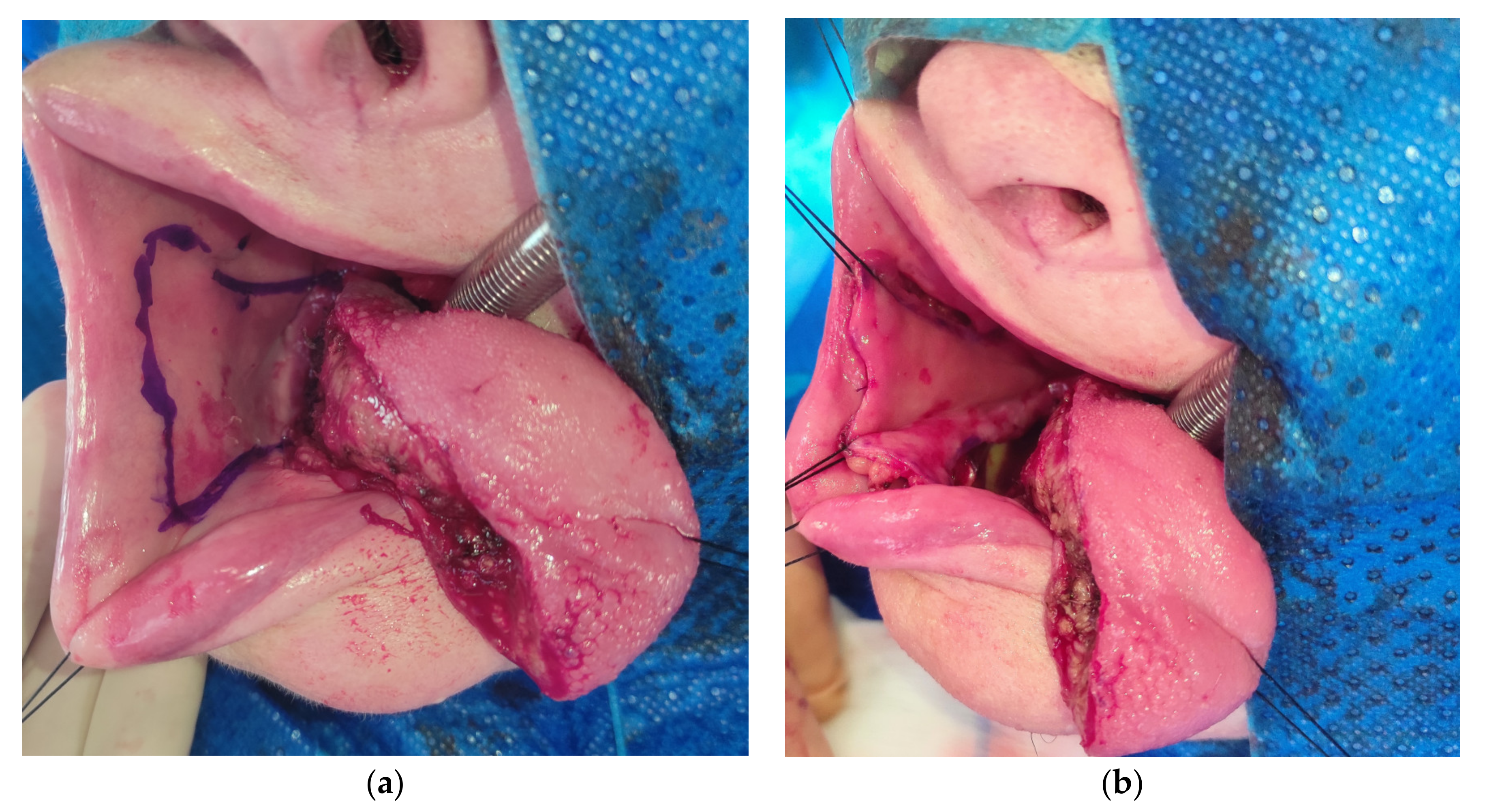 Medicina 57 00758 g002