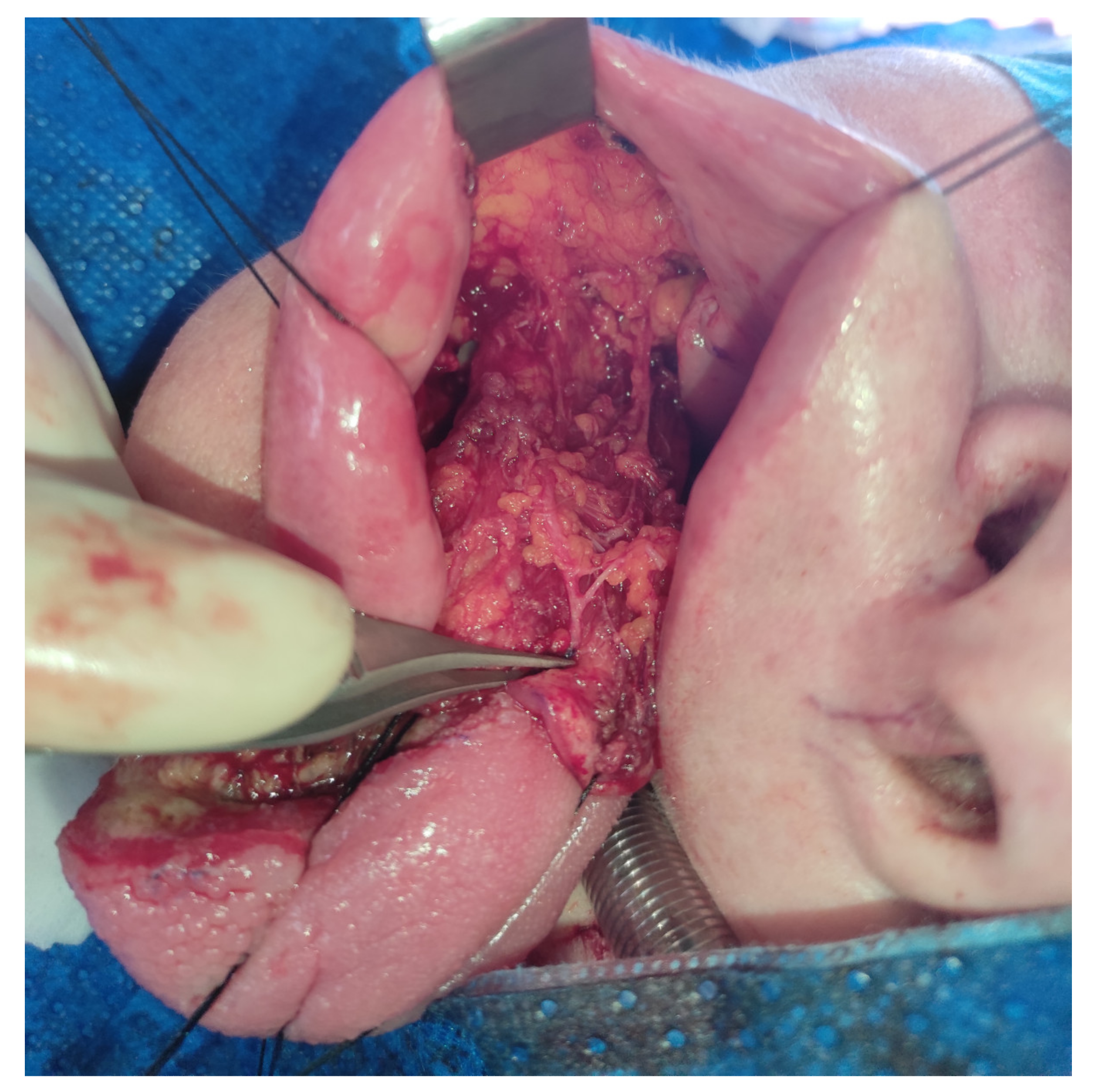 Medicina 57 00758 g003