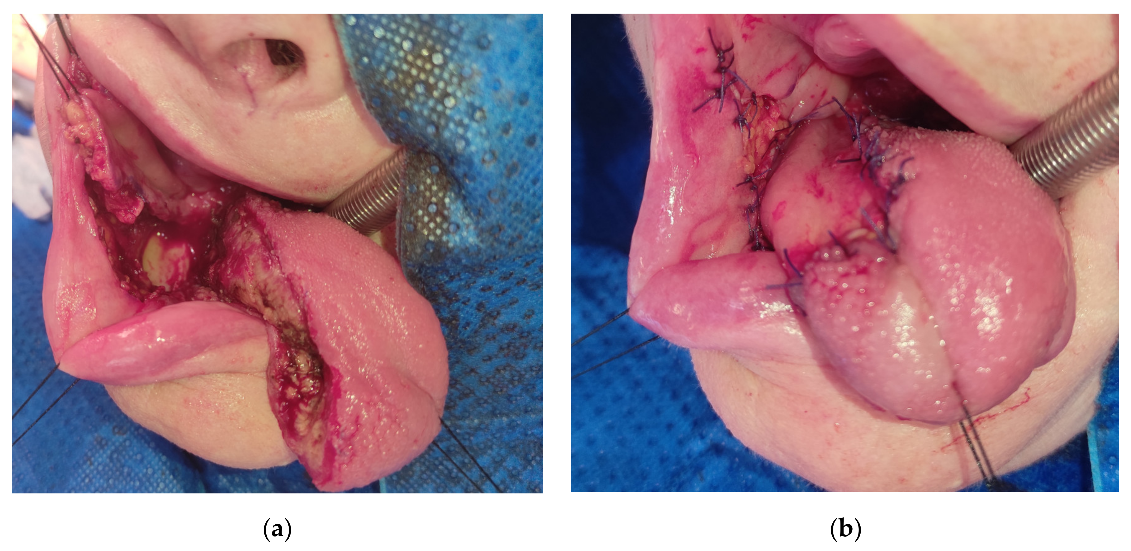 Medicina 57 00758 g004