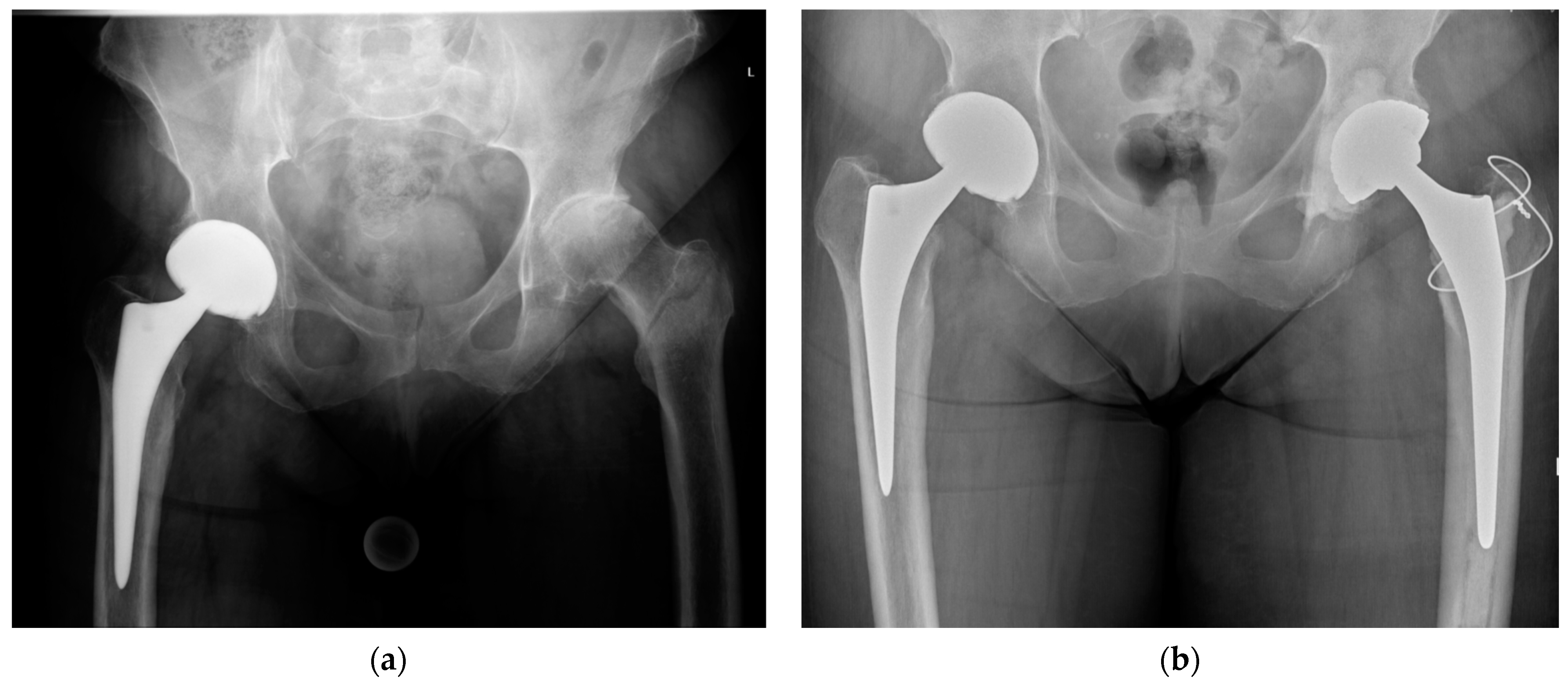 Medicina 57 00763 g002 Medicina 57 00763 g002