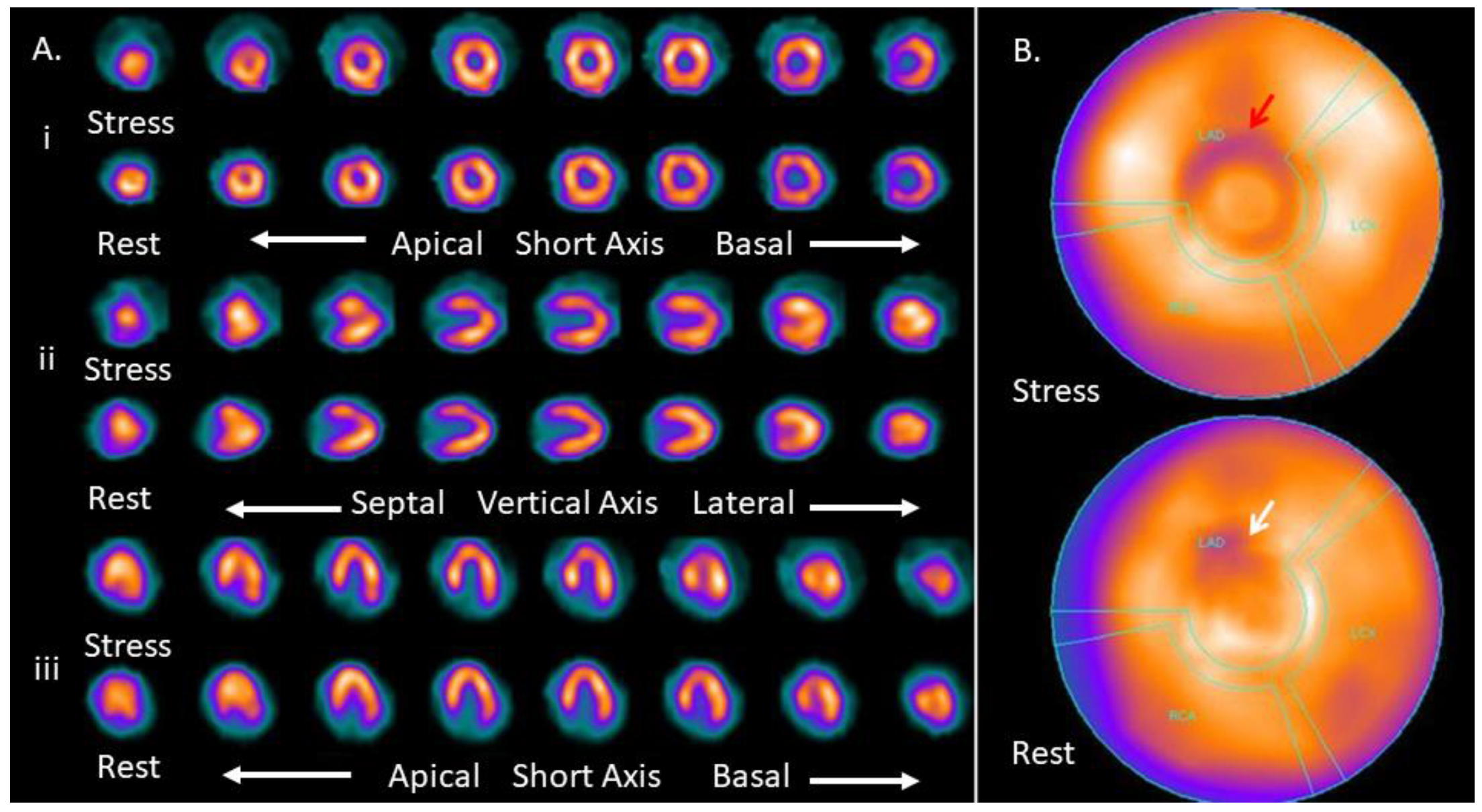 Medicina 57 00774 g001