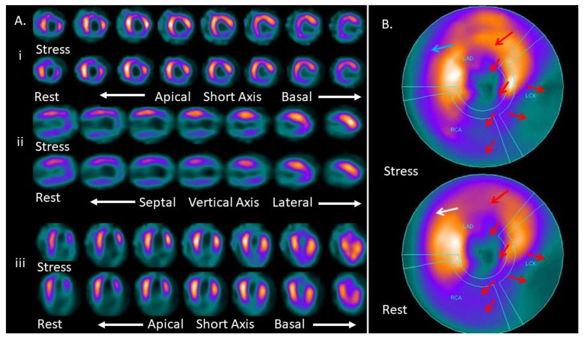 Medicina 57 00774 g002