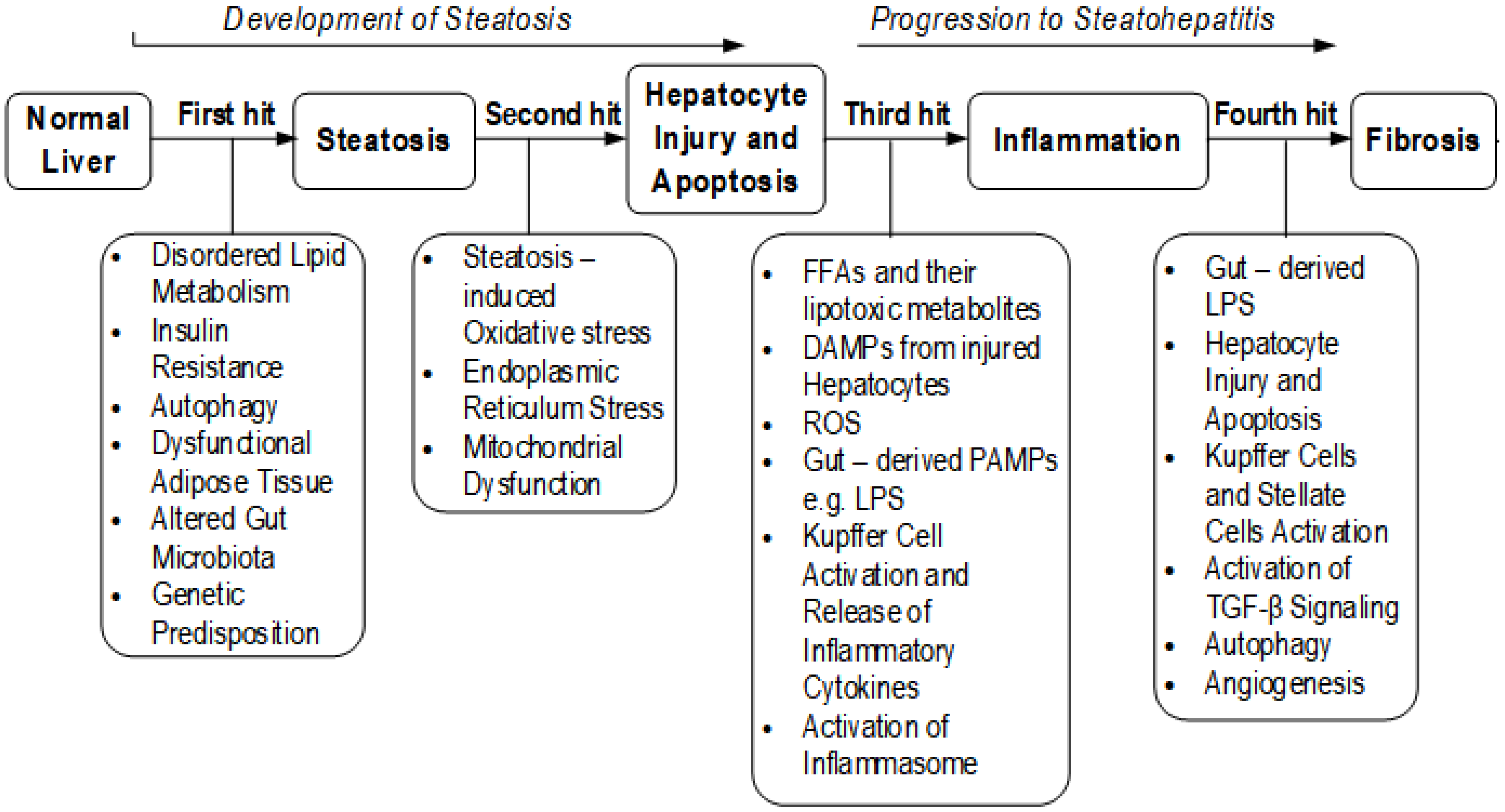 Medicina 57 00822 g001