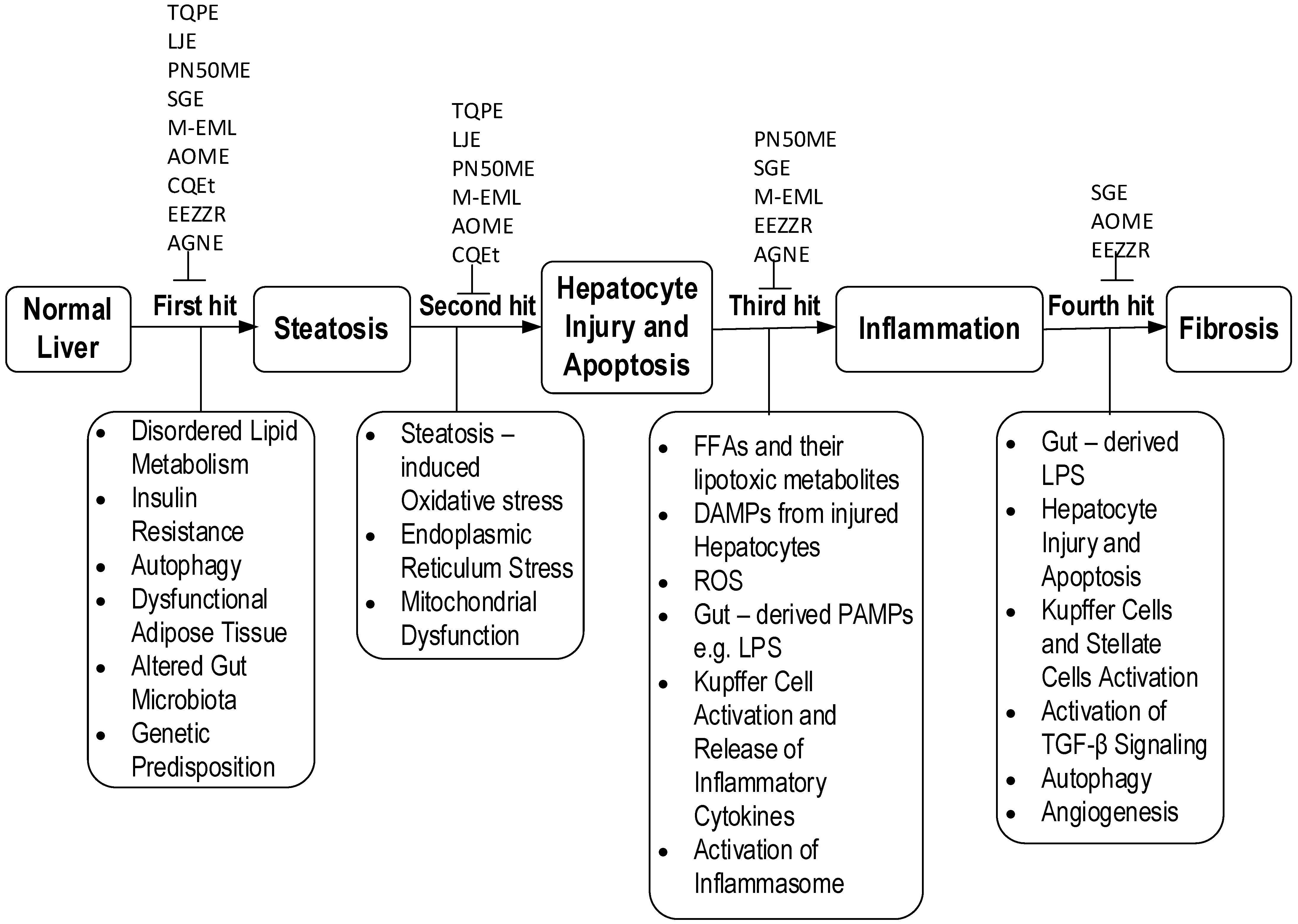 Medicina 57 00822 g003