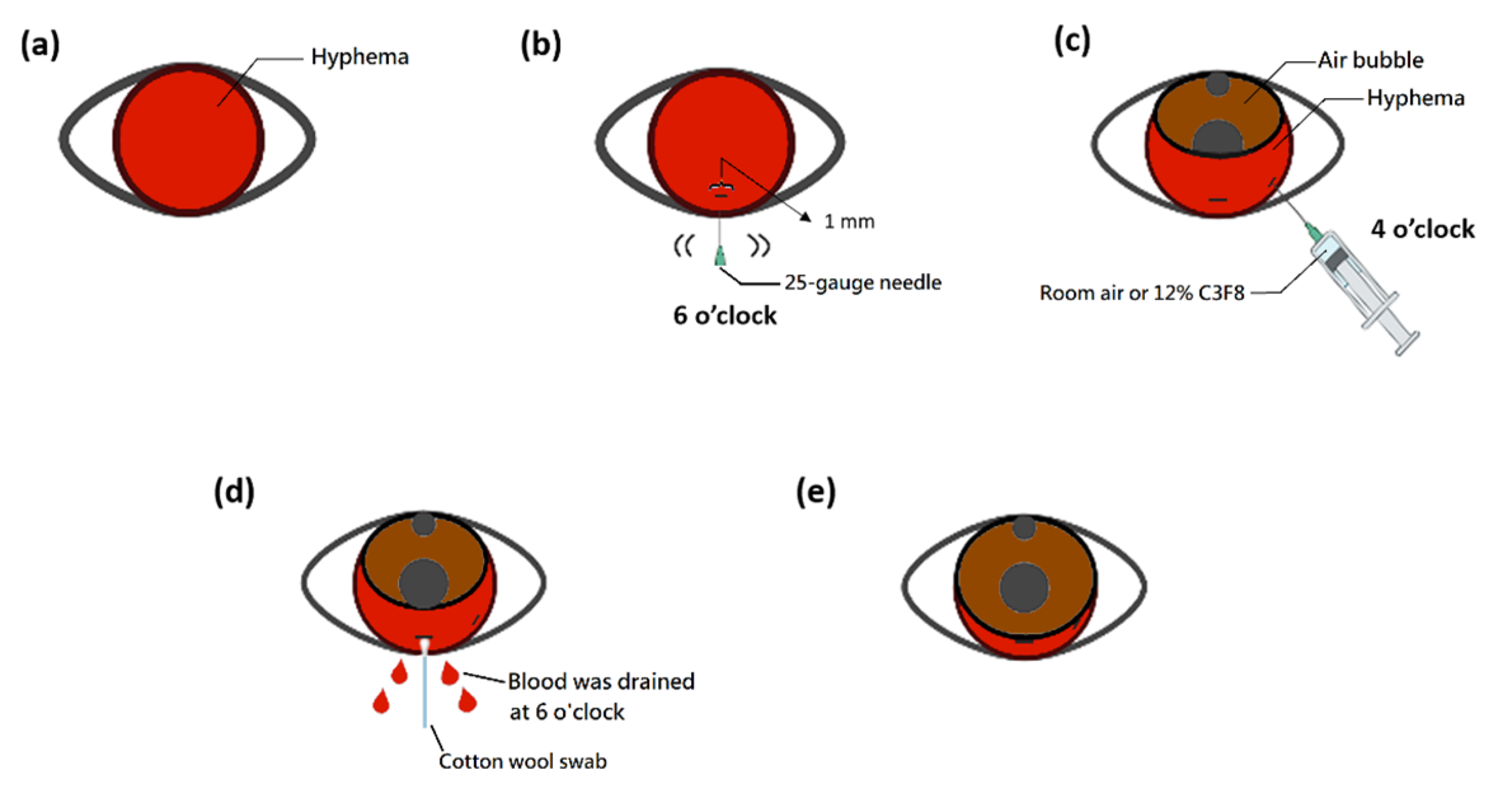 Medicina 57 00855 g001