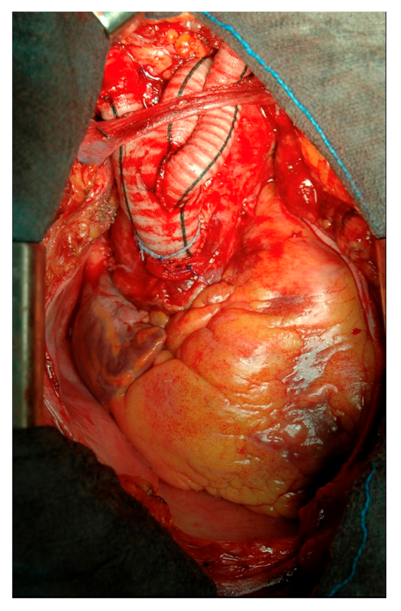 Medicina 57 00909 g001 Medicina 57 00909 g001