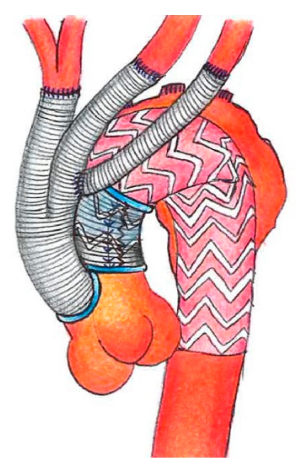 Medicina 57 00909 g002 Medicina 57 00909 g002