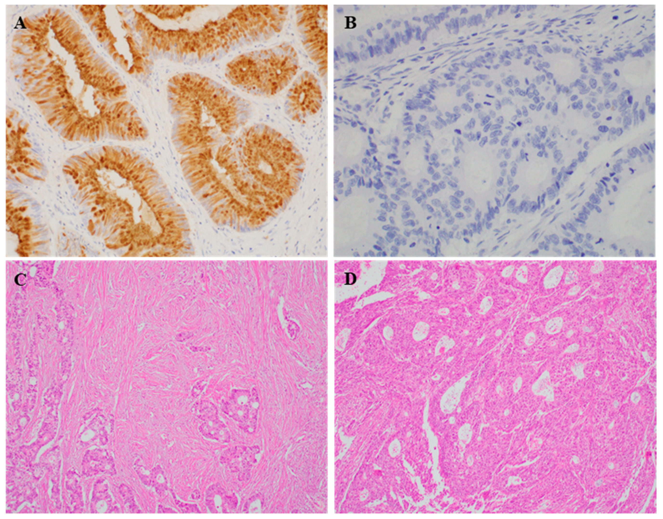 Medicina 57 00938 g001