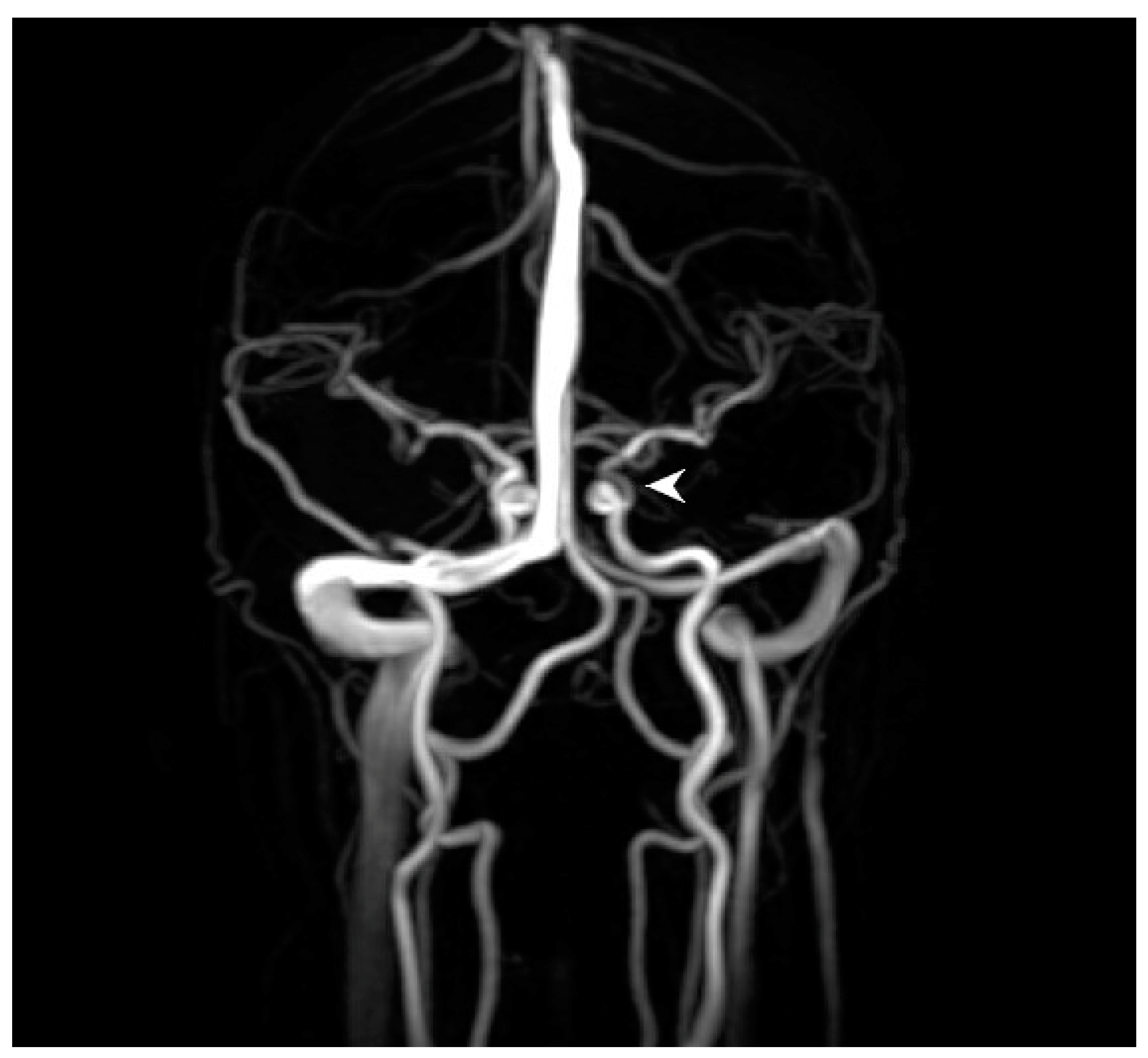 Medicina 57 00963 g001