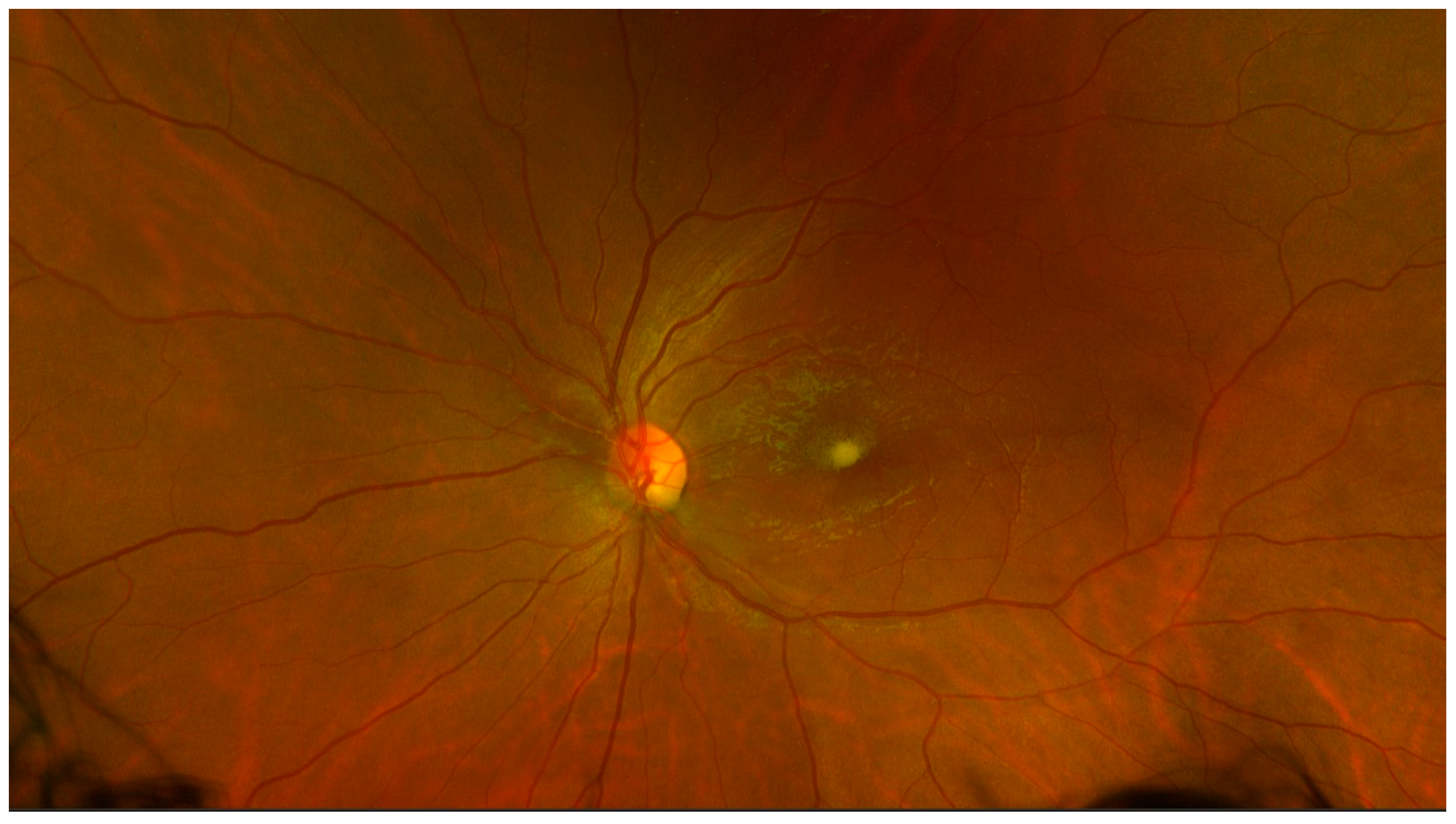 Medicina 57 00963 g004