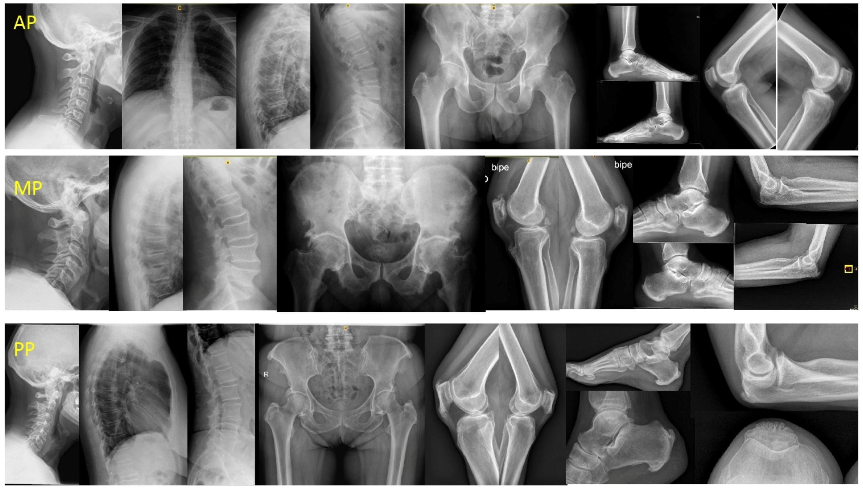 Medicina 57 01005 g001 Medicina 57 01005 g001