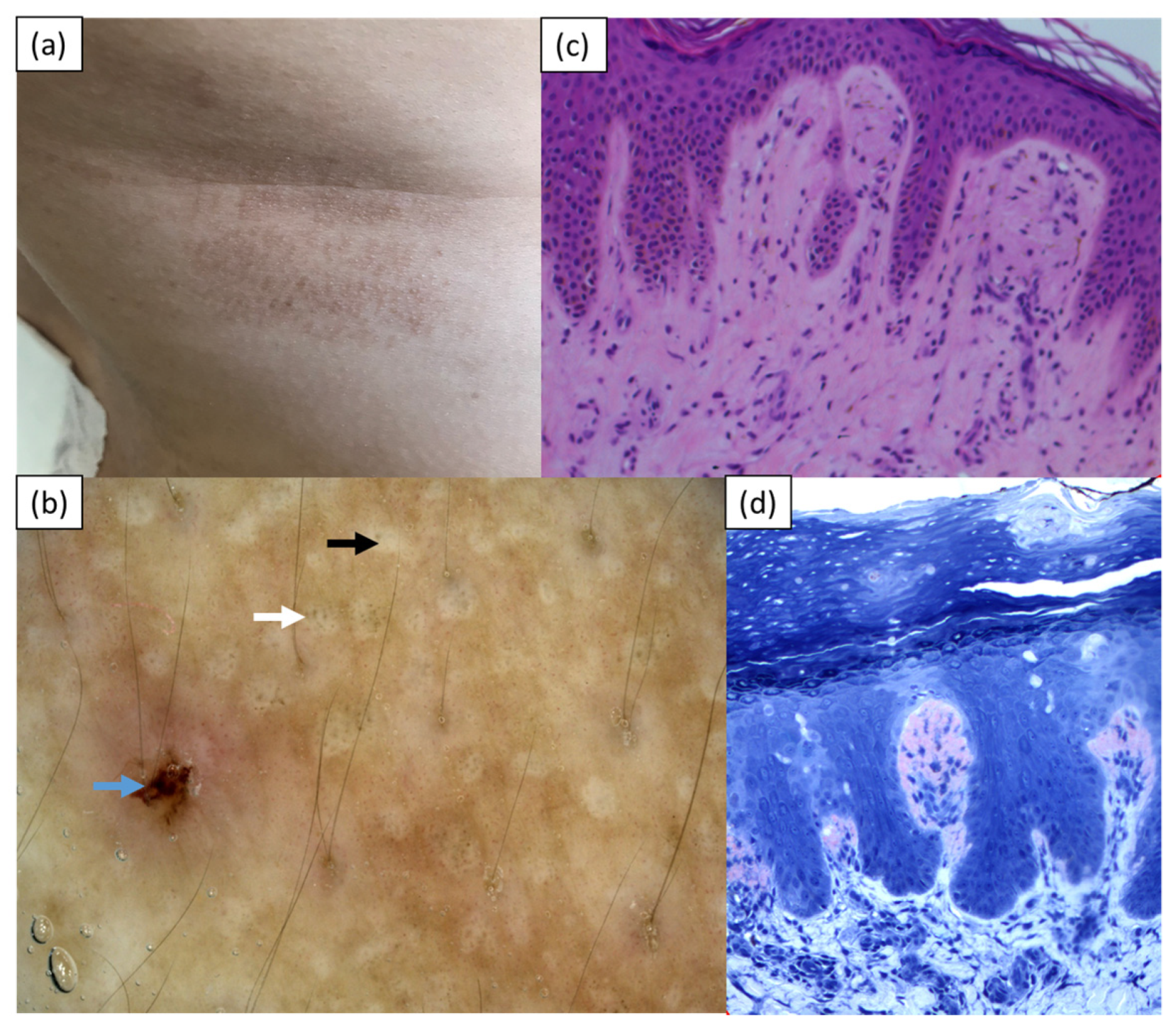 Medicina 57 01027 g001