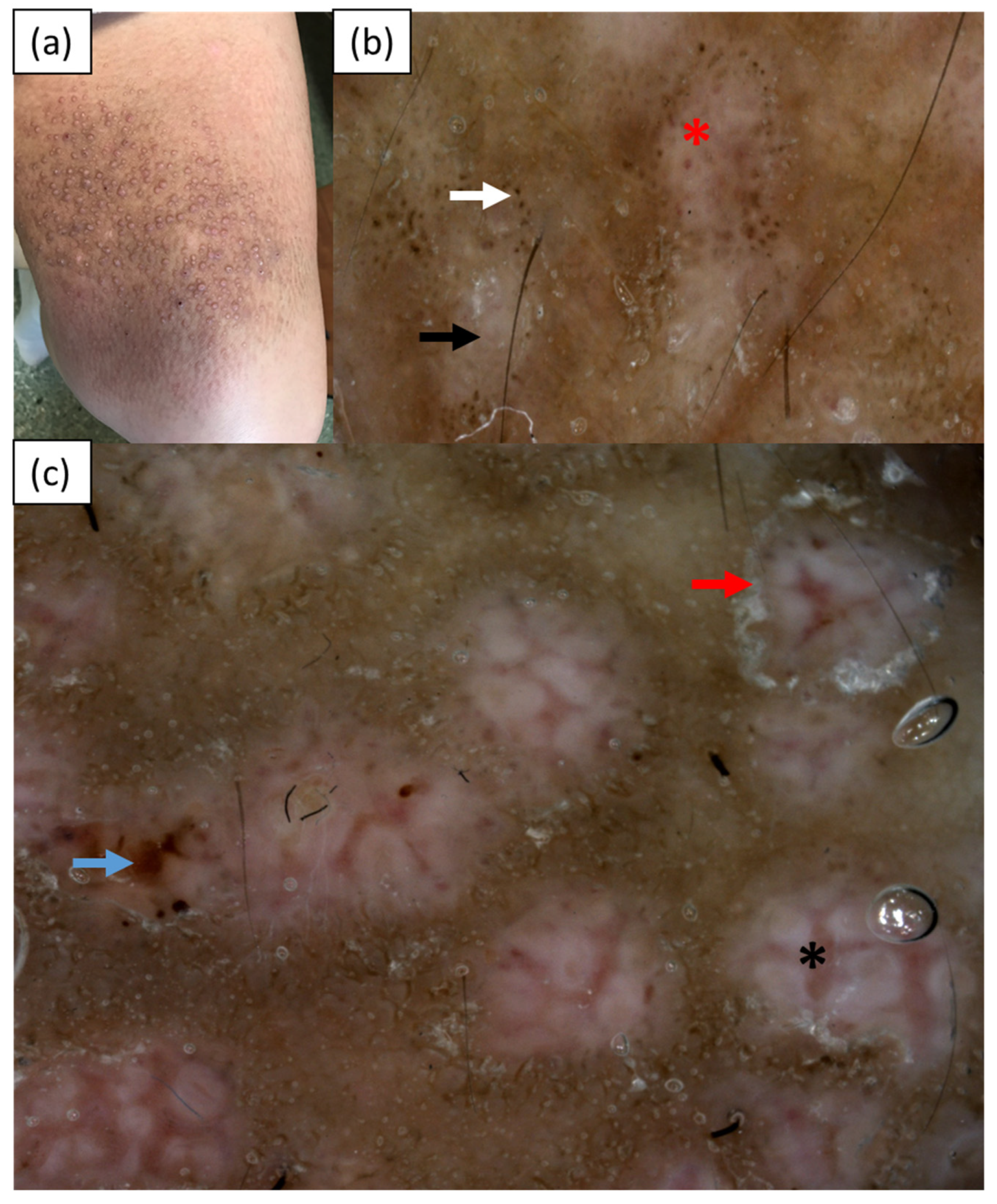 Medicina 57 01027 g002