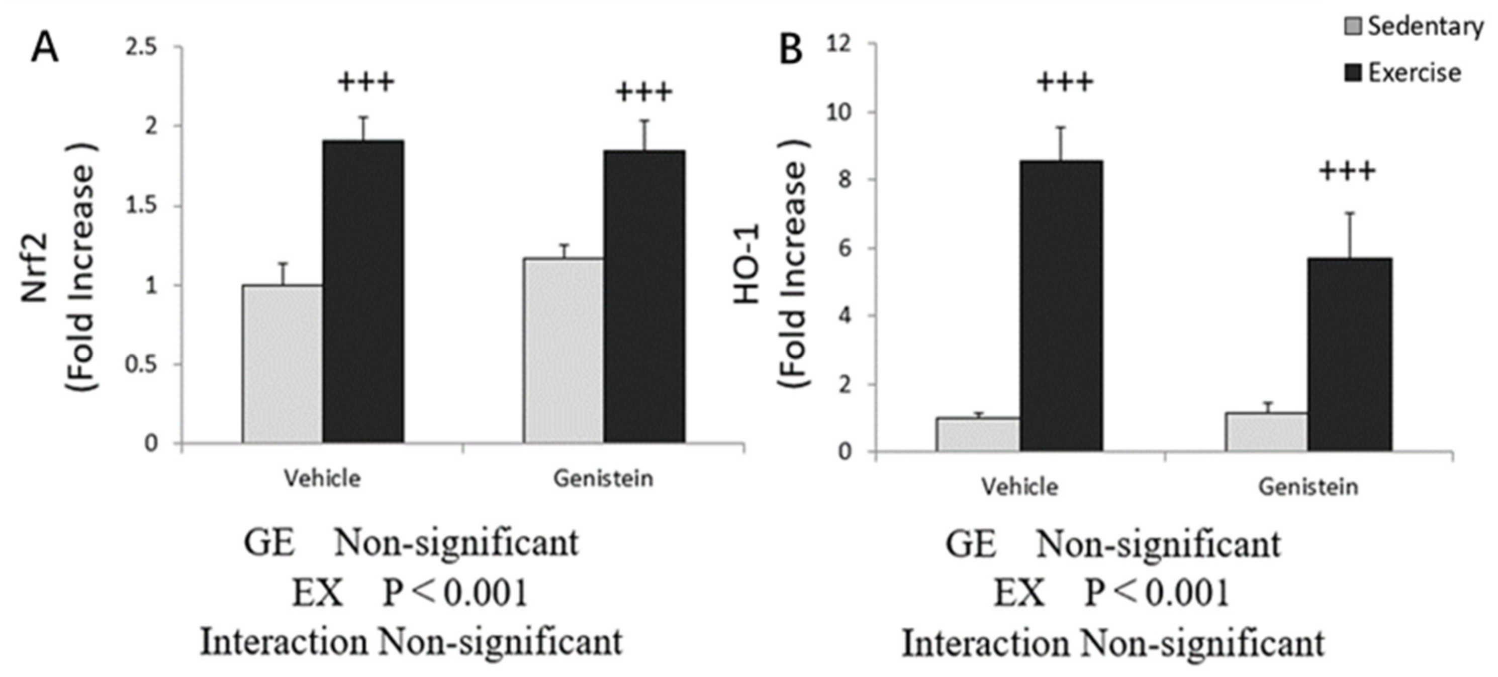 Medicina 57 01028 g006 Medicina 57 01028 g006