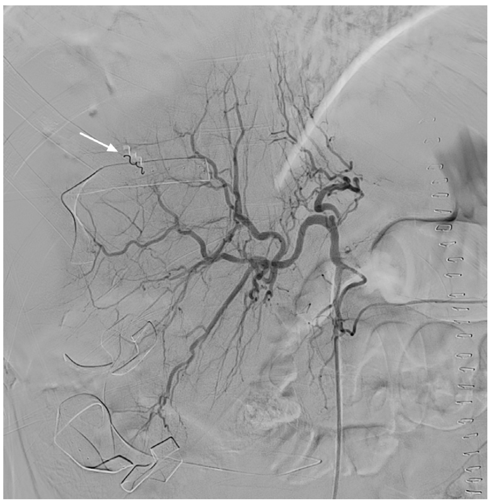 Medicina 57 01055 g002