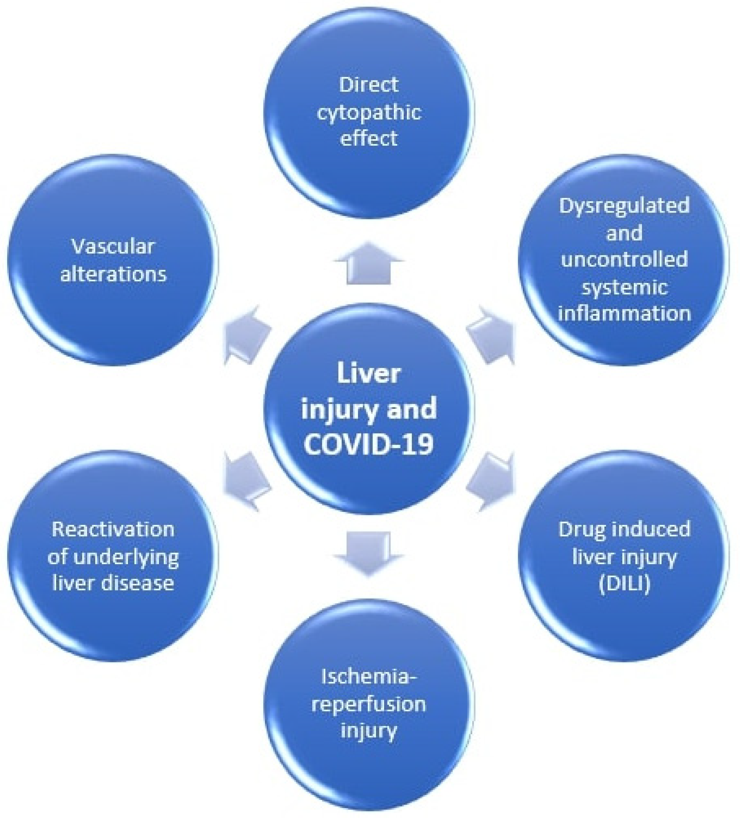 Medicina 57 01057 g001
