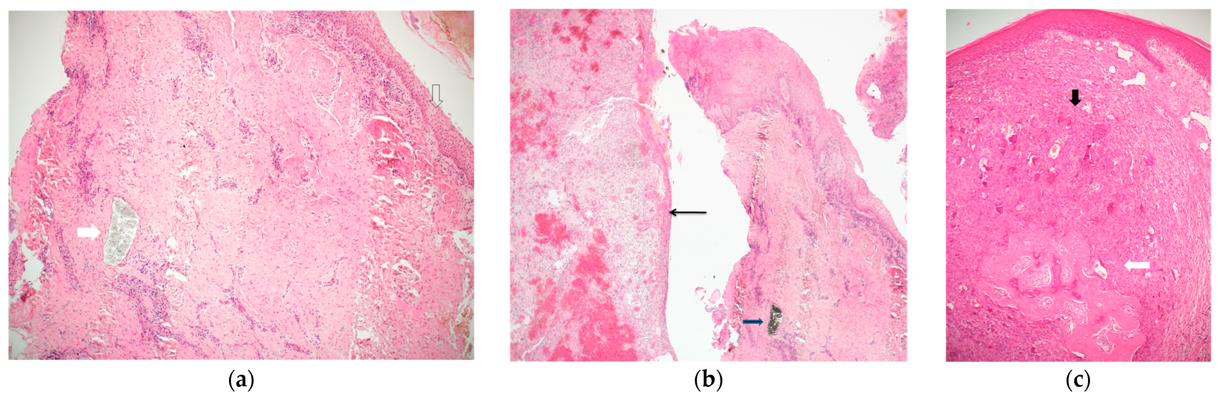 Medicina 57 01069 g002