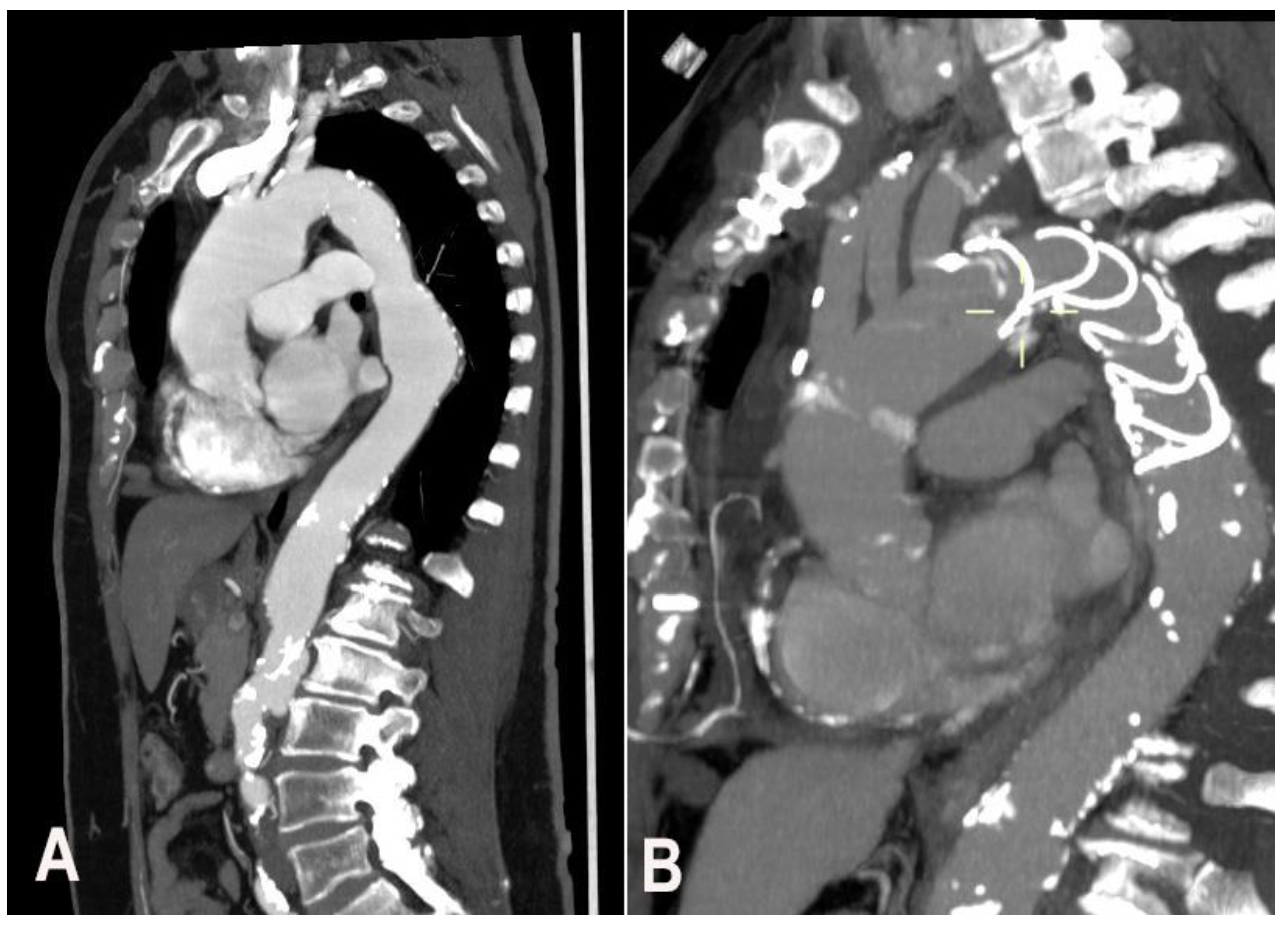 Medicina 57 01090 g002