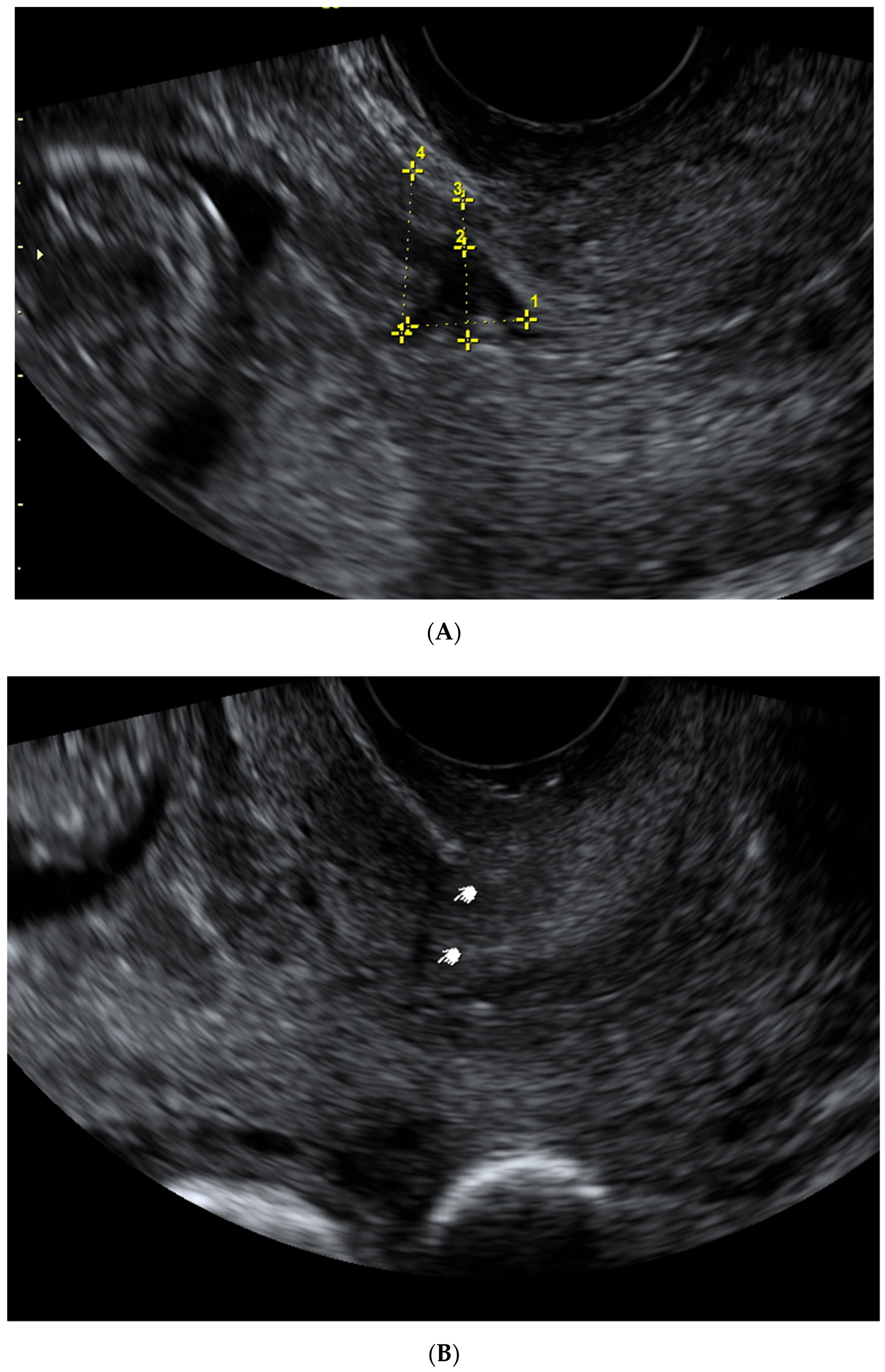 Medicina 57 01091 g002a