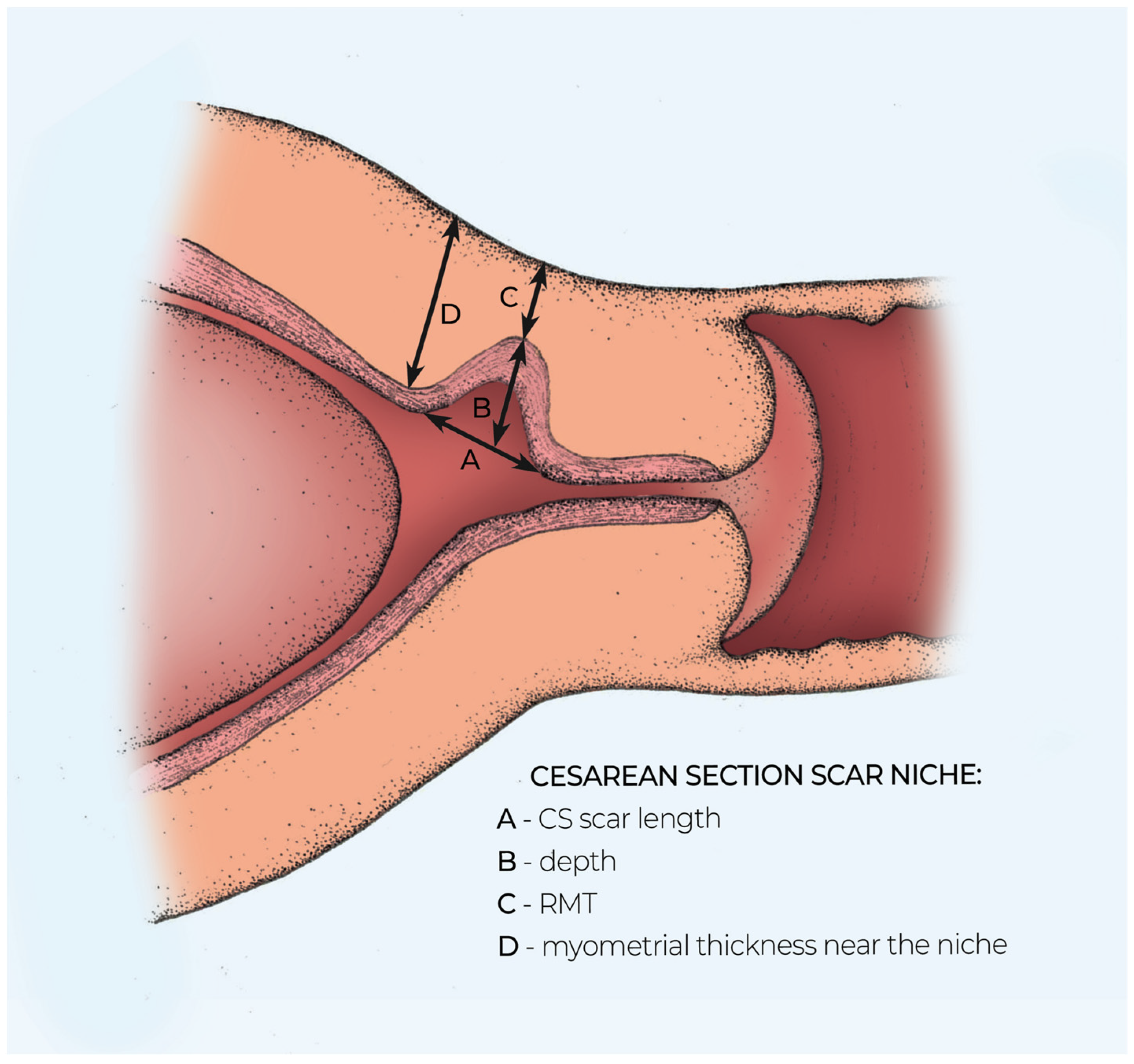 Medicina 57 01091 g003