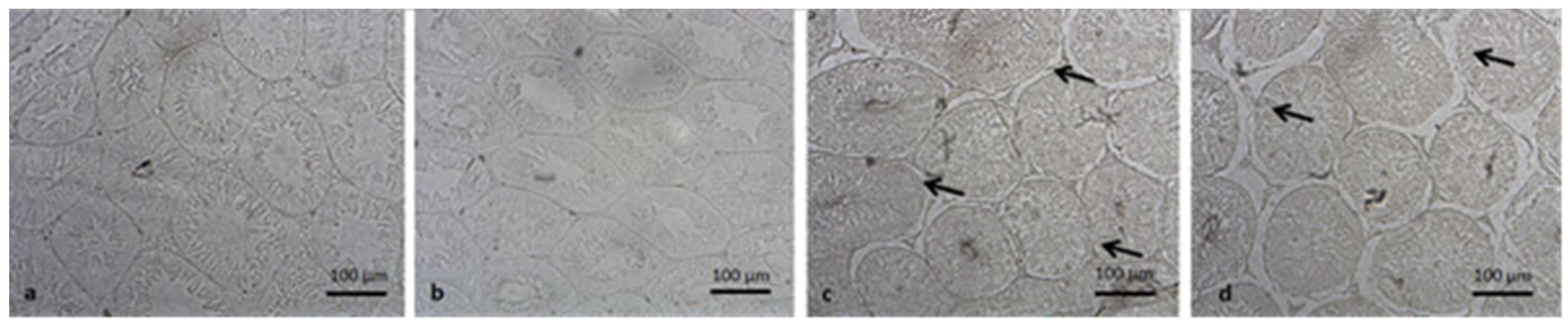 Medicina 57 01177 g001