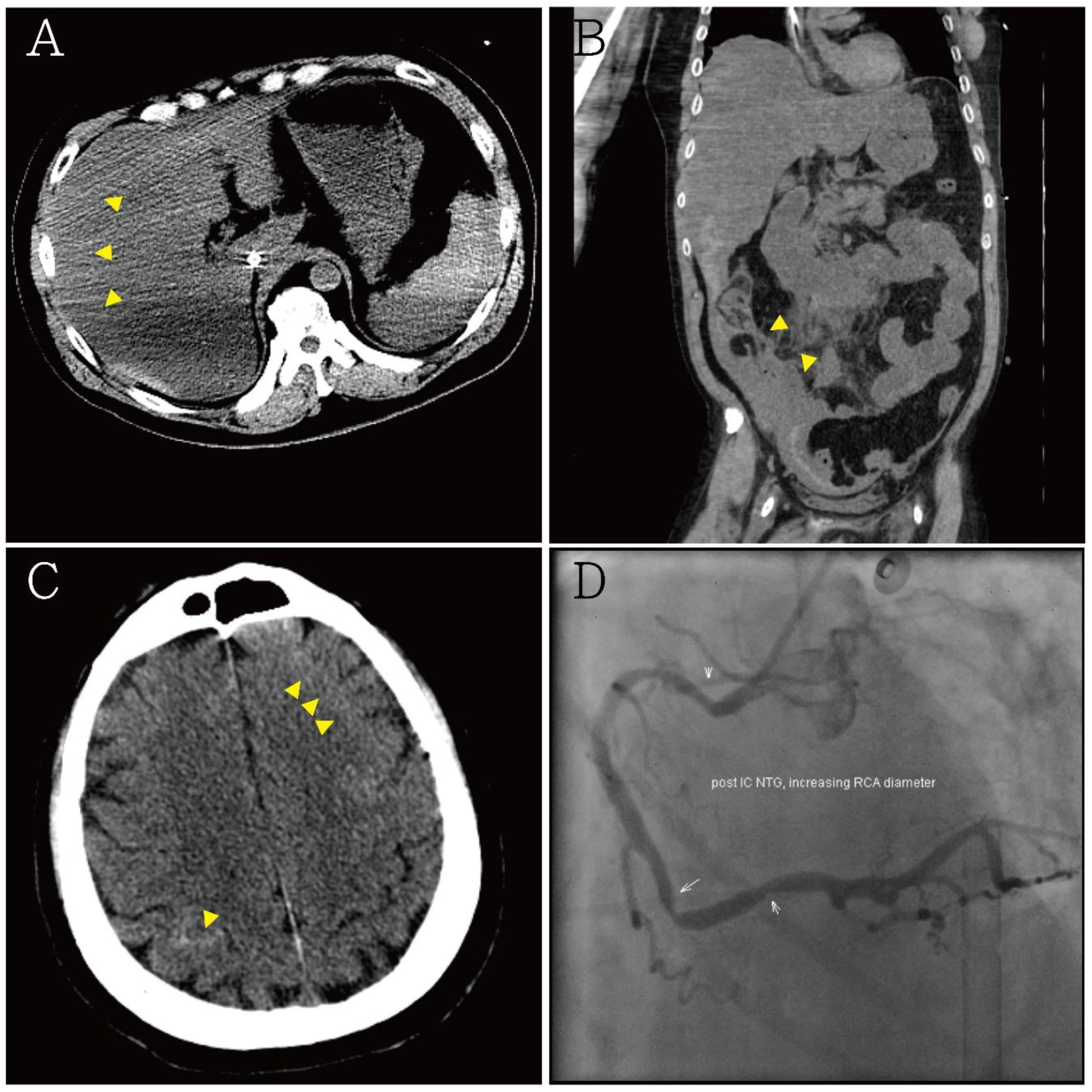 Medicina 57 01184 g003 Medicina 57 01184 g003