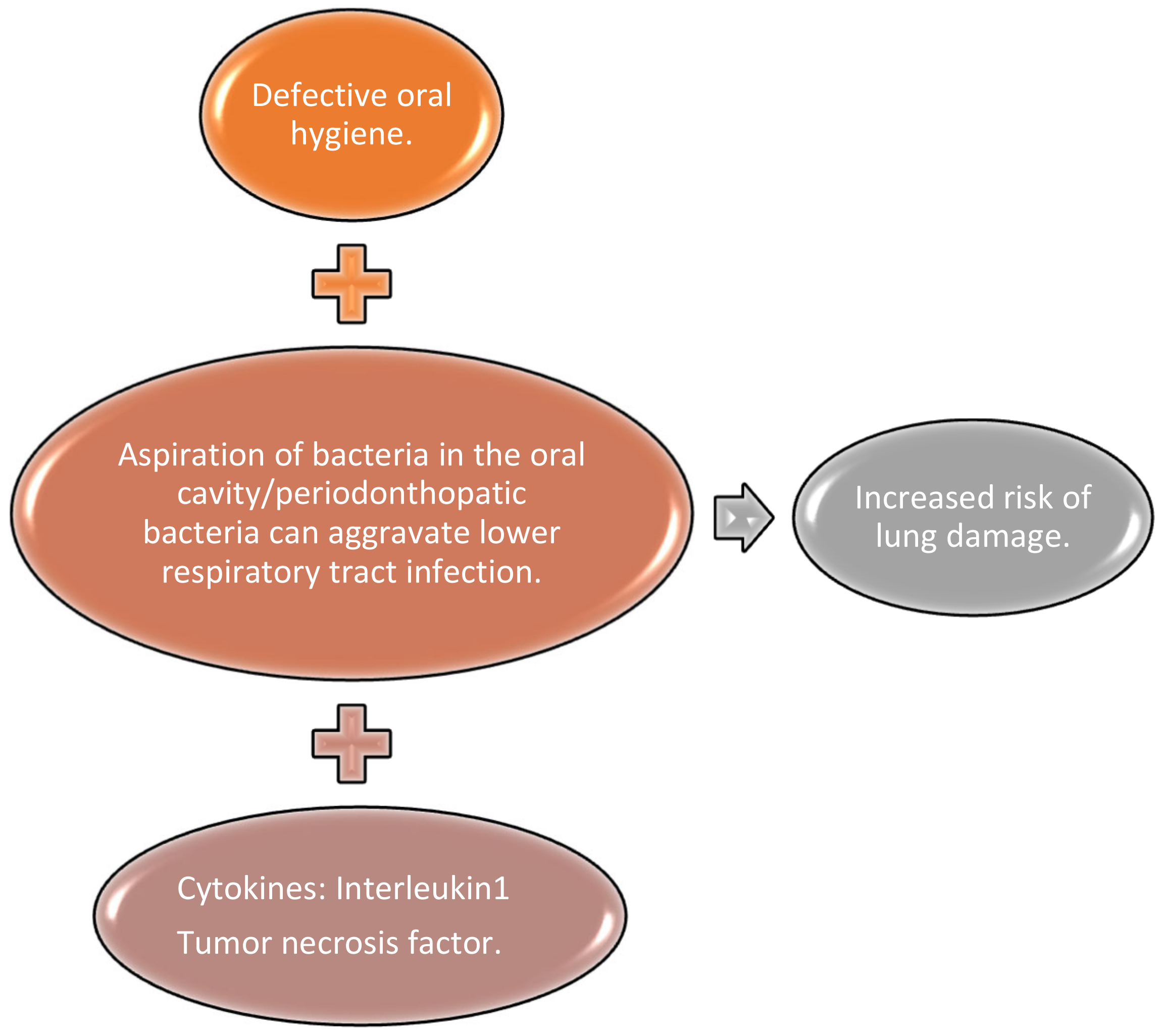 Medicina 57 01189 g002