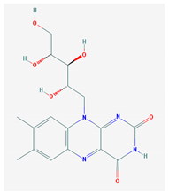 Medicina 57 01204 i003