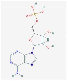 Medicina 57 01204 i009