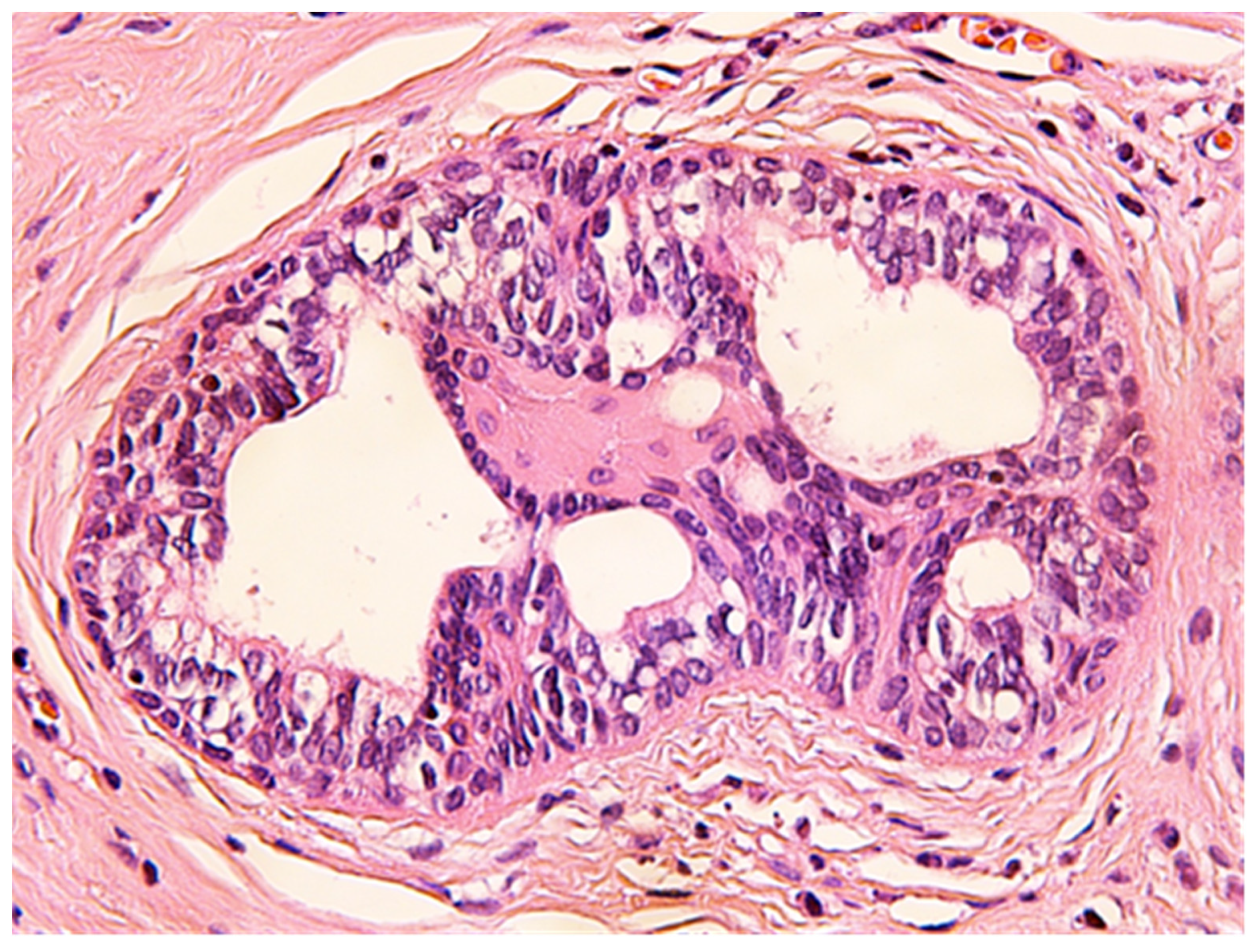 Medicina 57 01205 g008