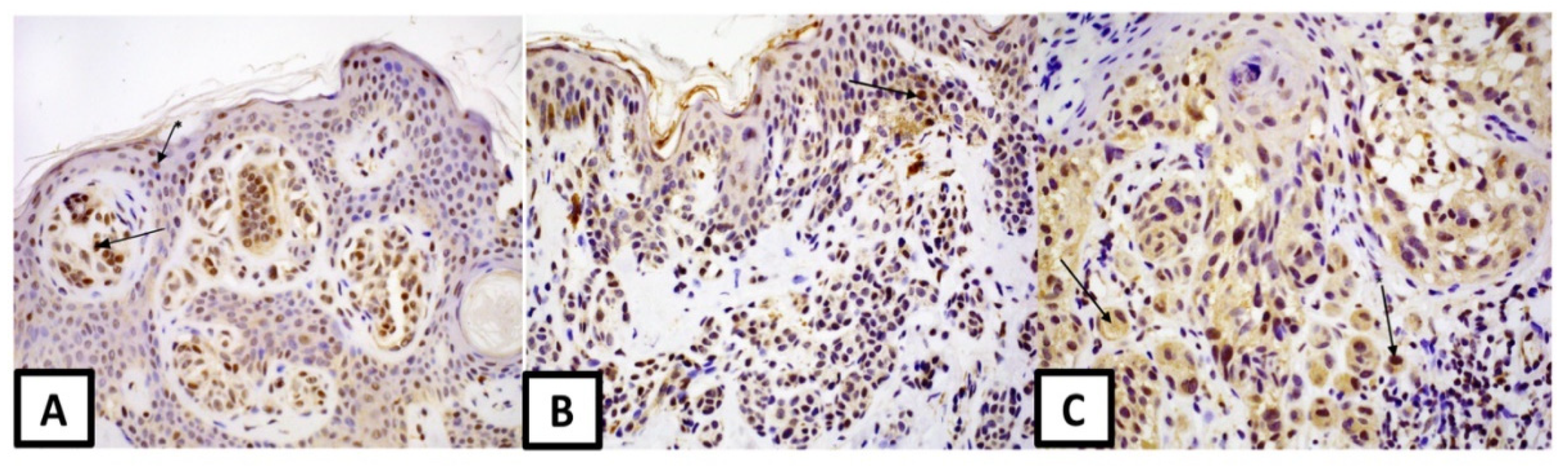 Medicina 57 01228 g003