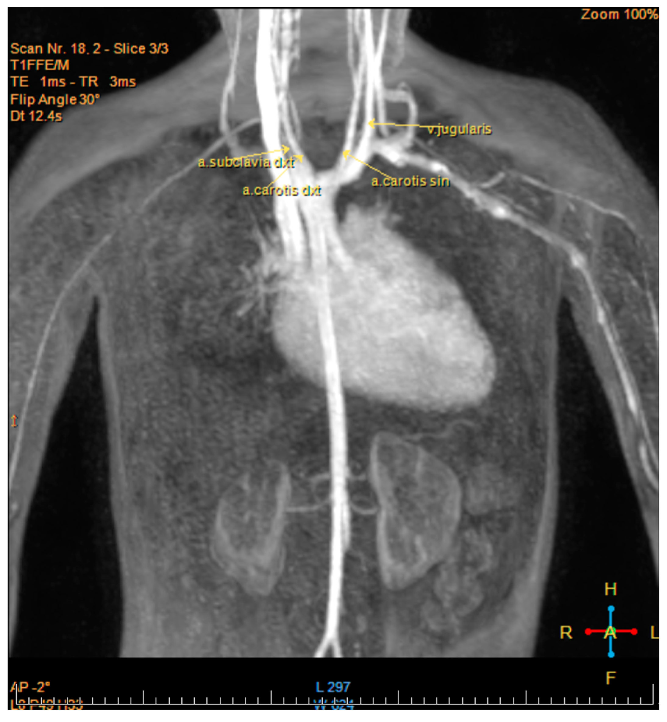 Medicina 57 01239 g002