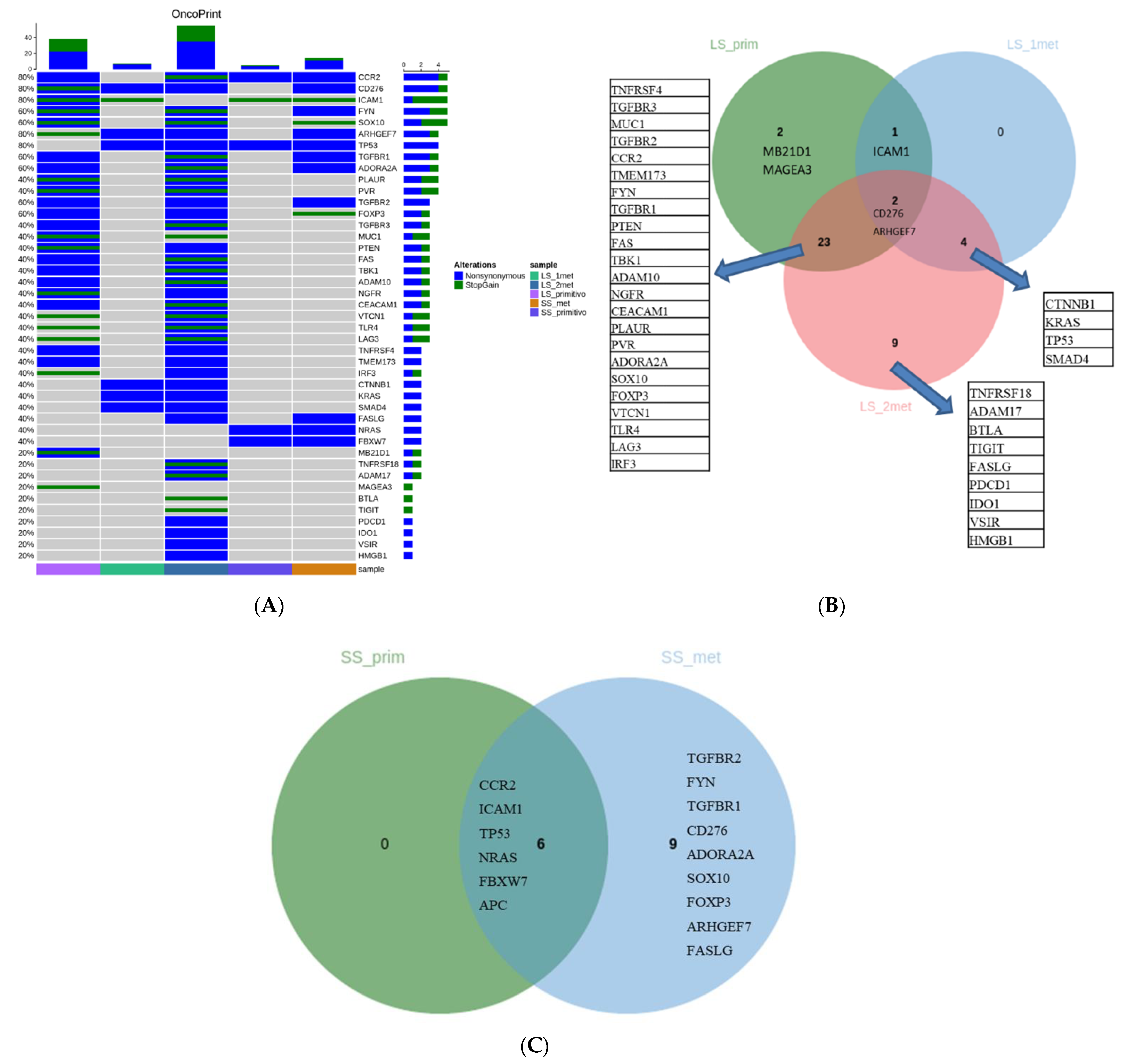 Medicina 57 01241 g001